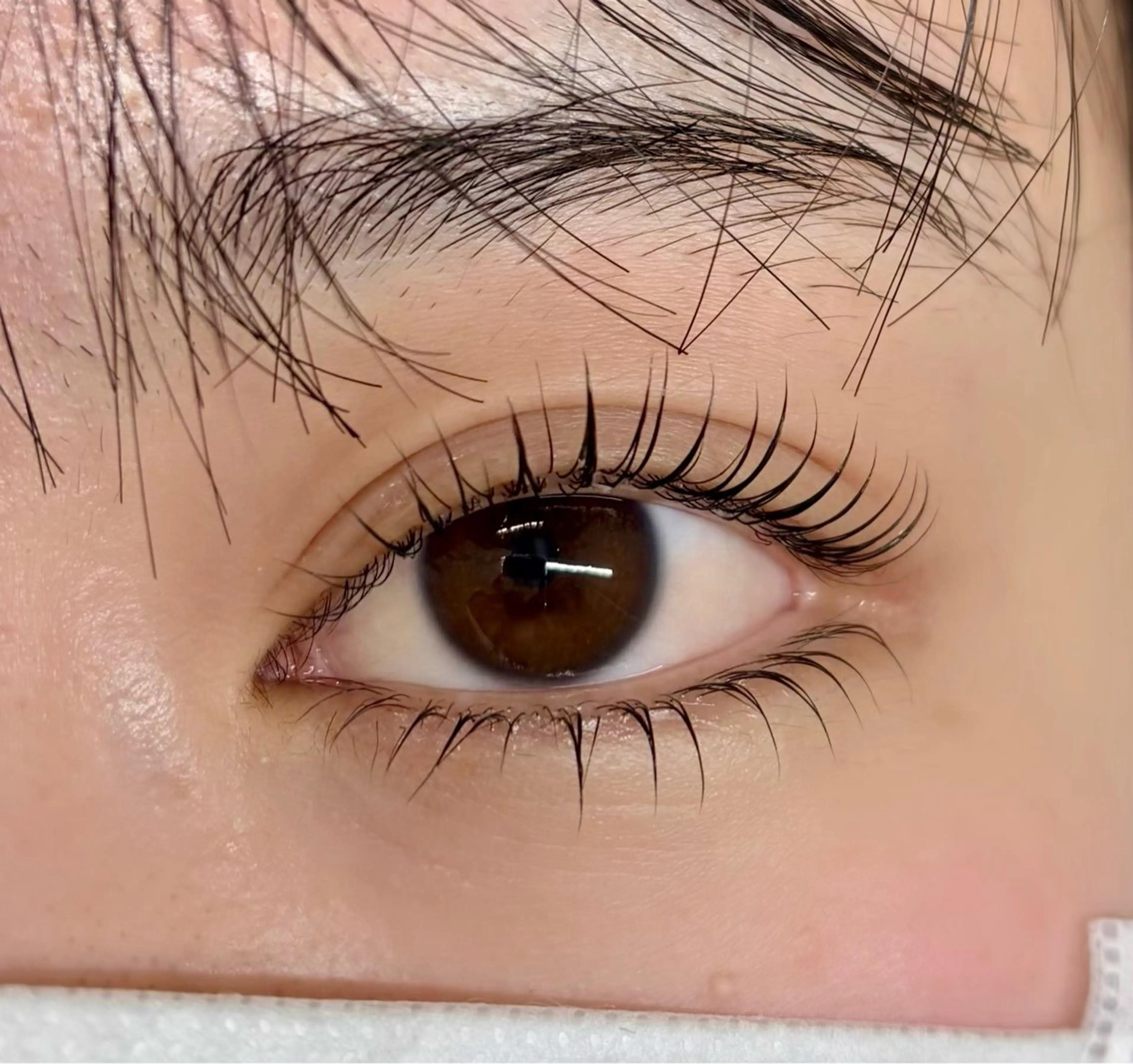 【マスカラパーマ】まつげパーマ×ブラックティントの写真