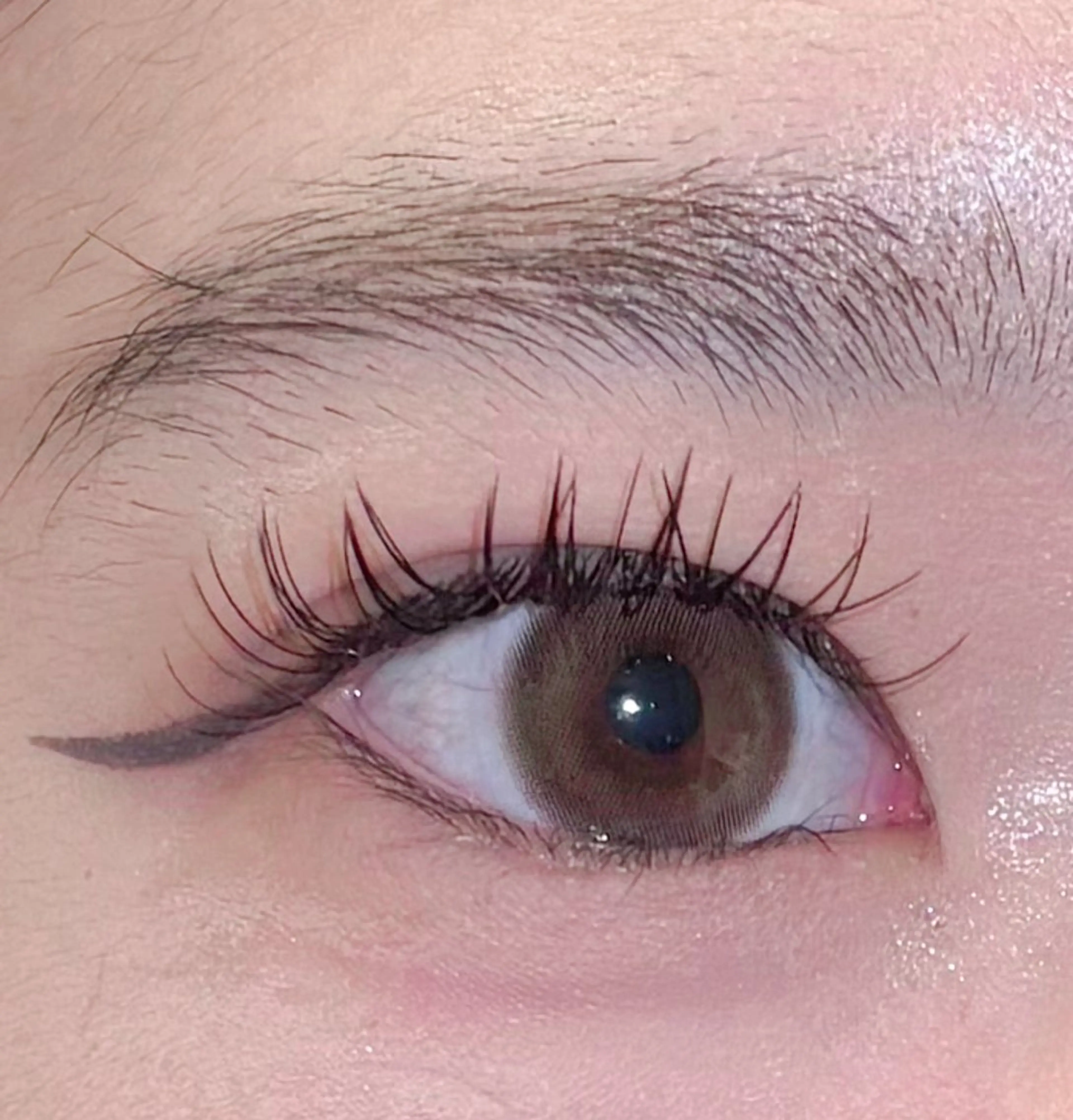 マツエク100本(オフ込み)➕コーティング付きの写真