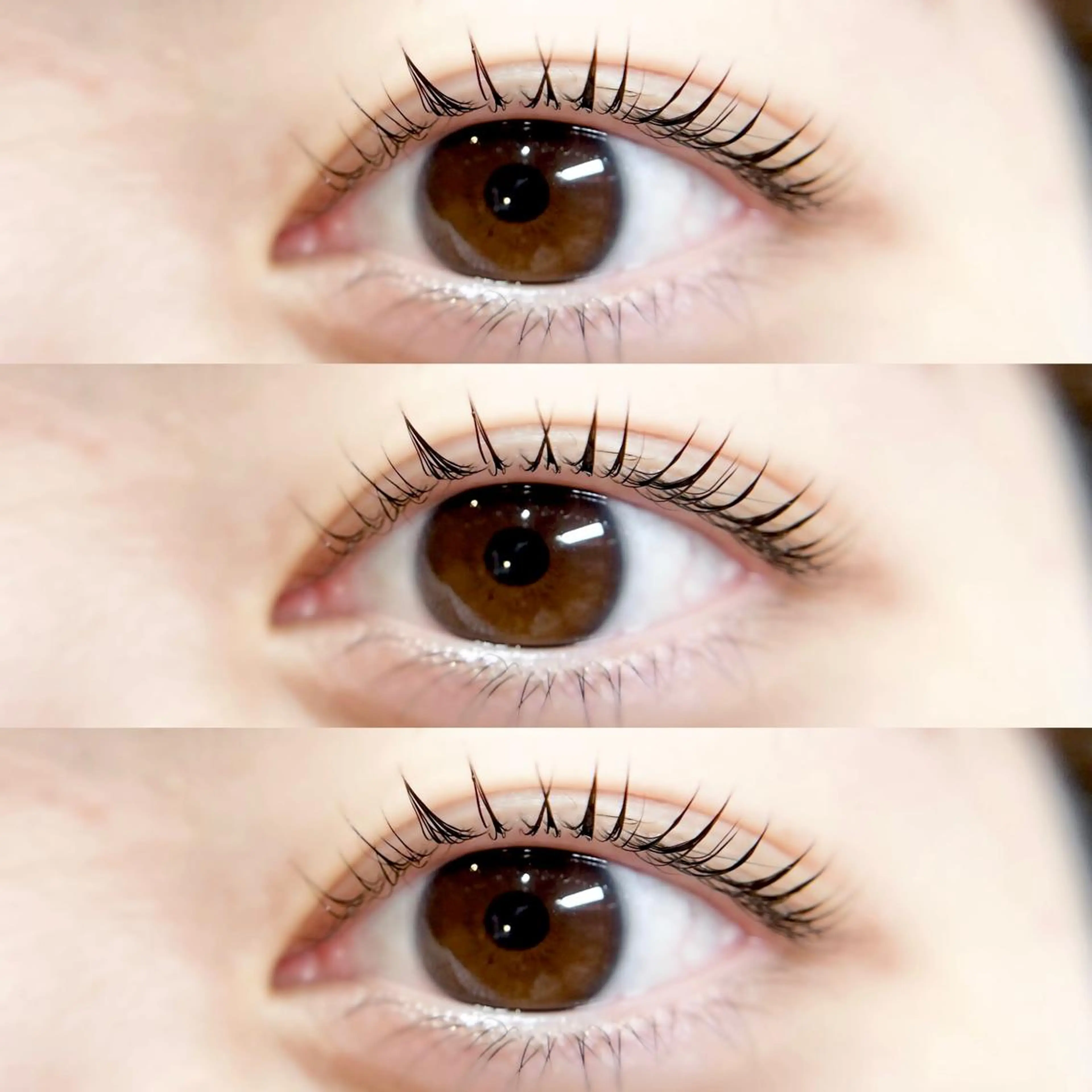 マツエク・マツパ まつげパーマ マツパ MUSE  eyelash salon所属・MUSE八王子南口 徒歩1分のマツエク・マツパデザイン