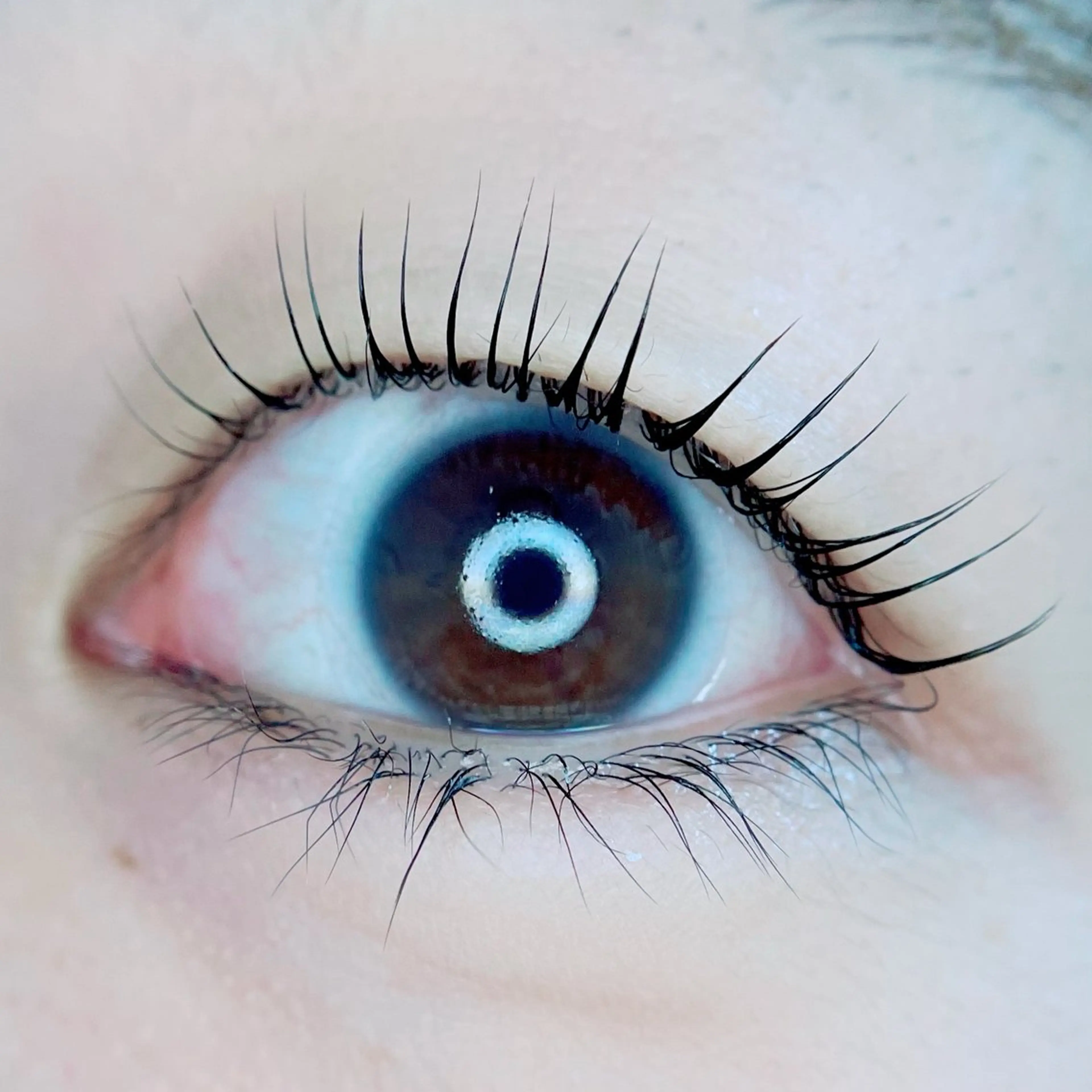 アイリストデビュー応援価格📣【1月のみ】の写真