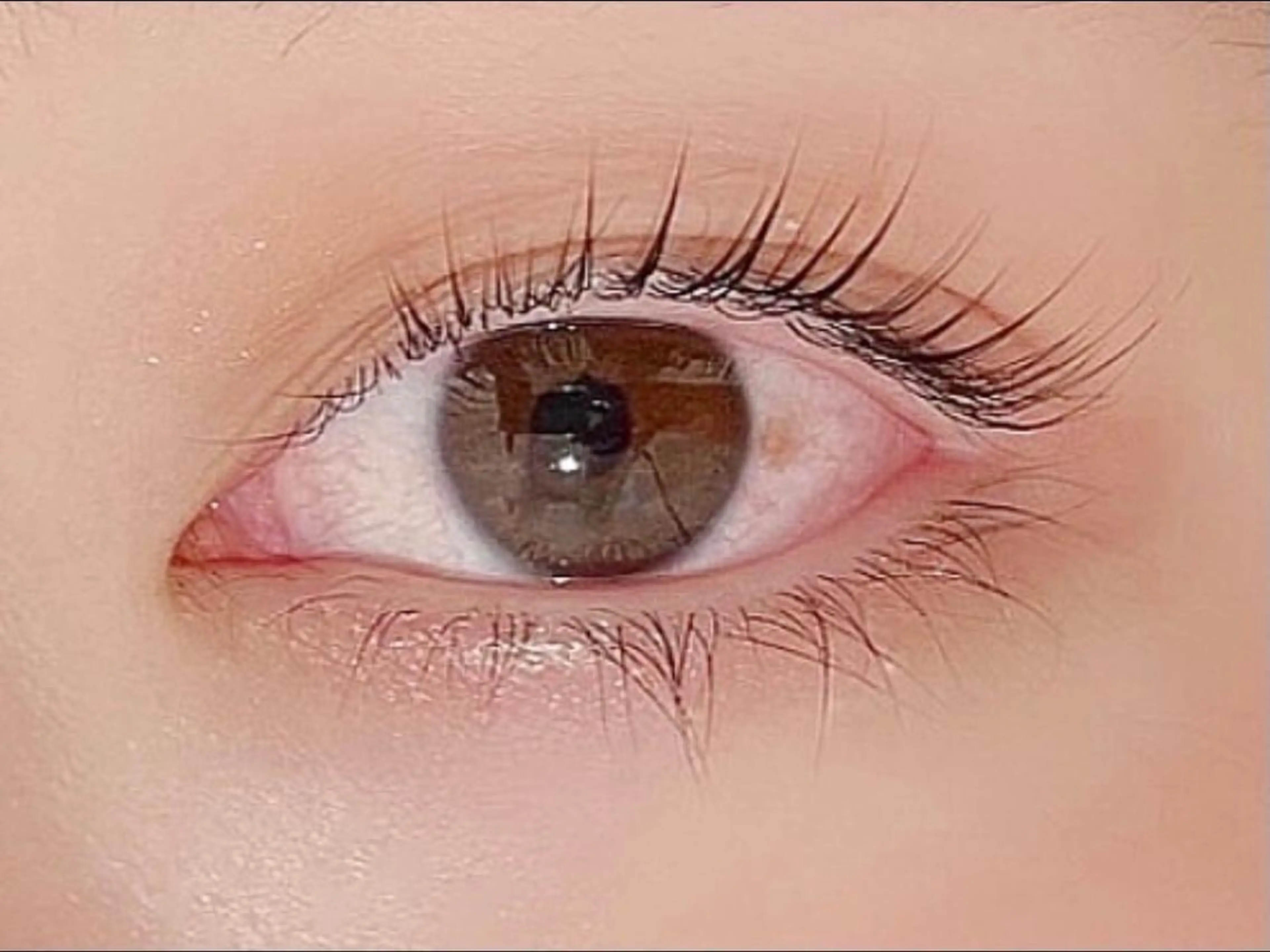 マツエク・マツパ パリジェンヌラッシュリフト 【Calm藤沢店】 MIKAMI REIのマツエク・マツパデザイン