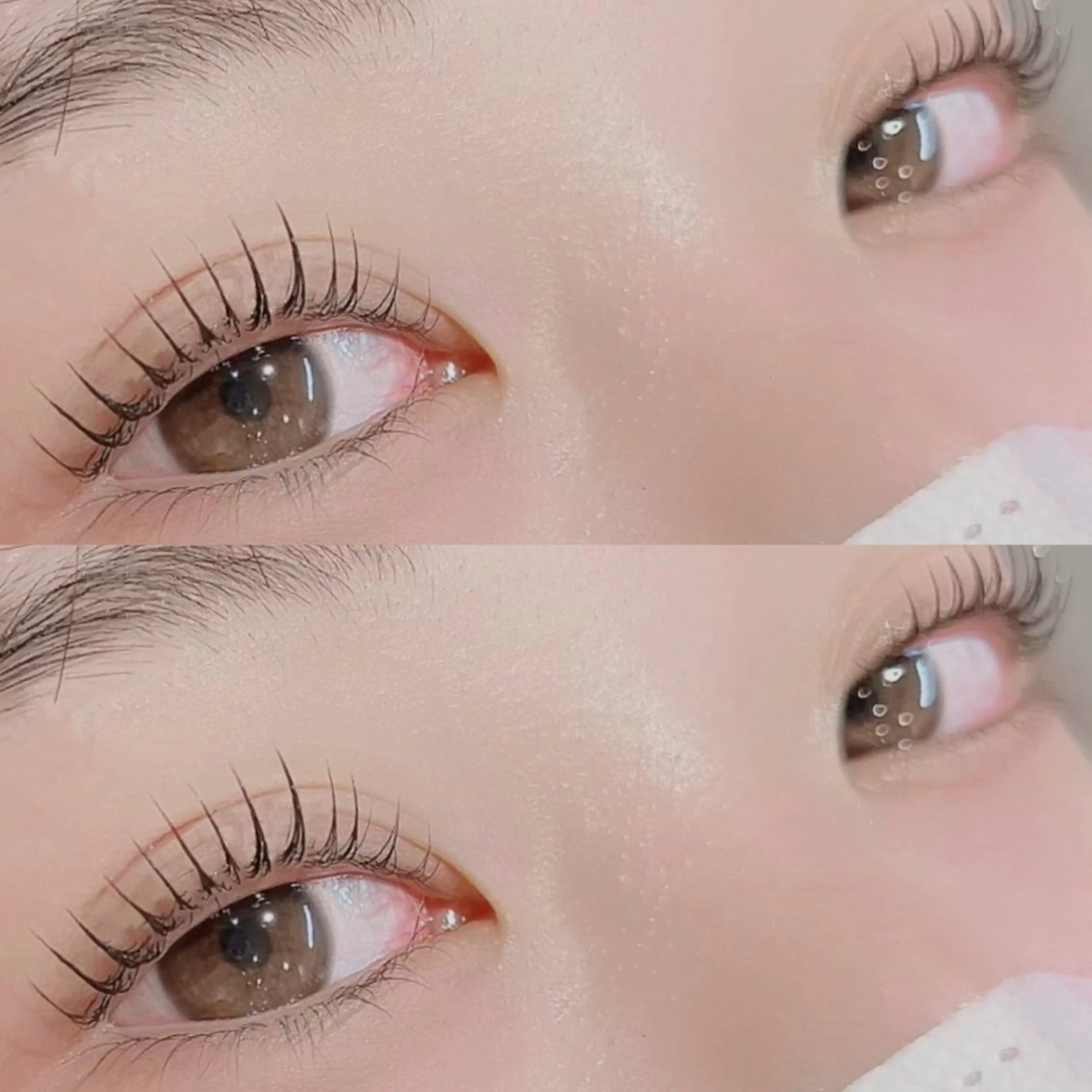 マツエク・マツパ Luxe ···▸﻿ Seike🐈‍⬛⸒の眉毛・アイブロウイメージ