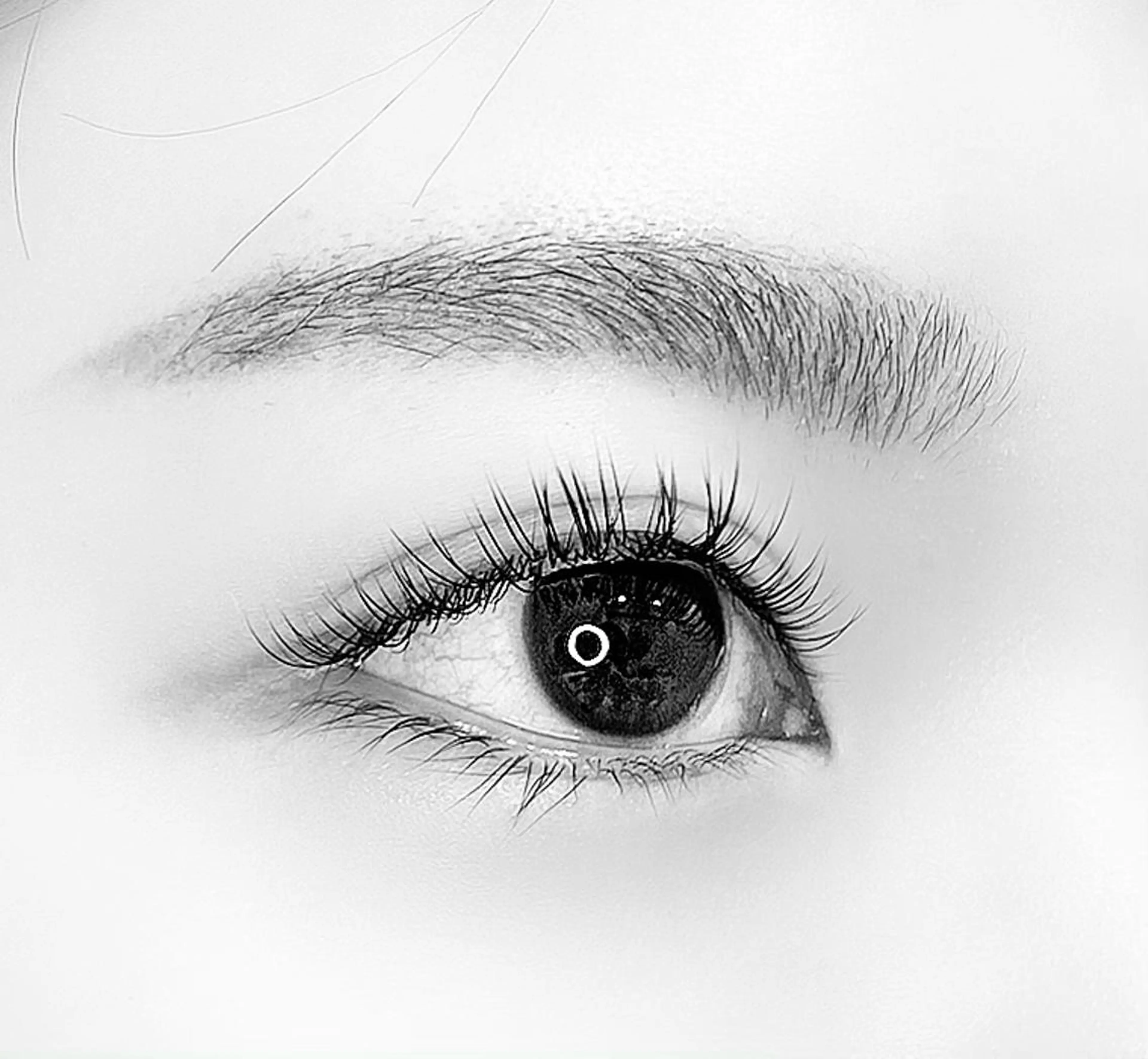 MENS専用eyelash menuの写真