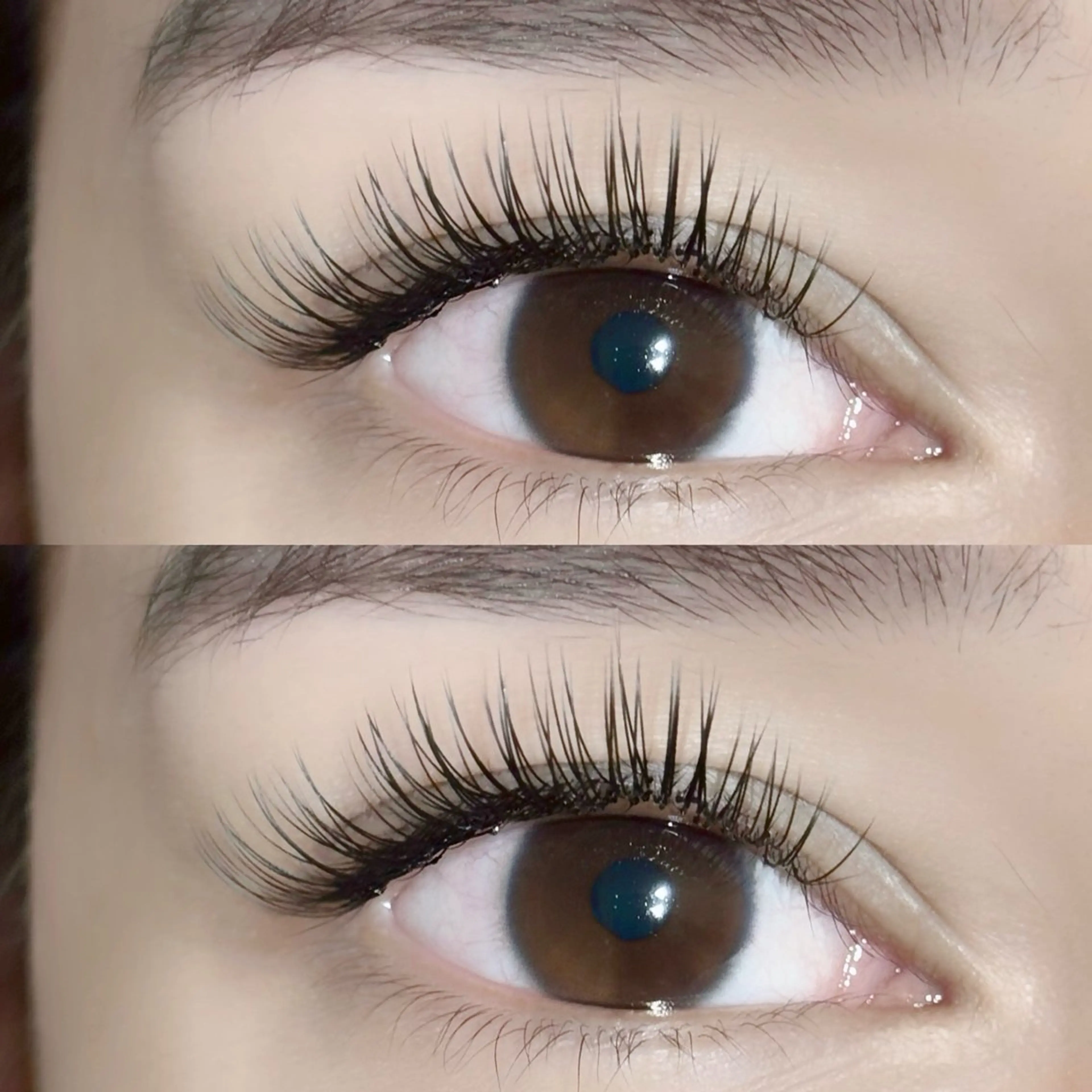 【オフ込み】🤍最先端･高持続＆密着🤍LEDフラットラッシュエクステ160本🌺の写真