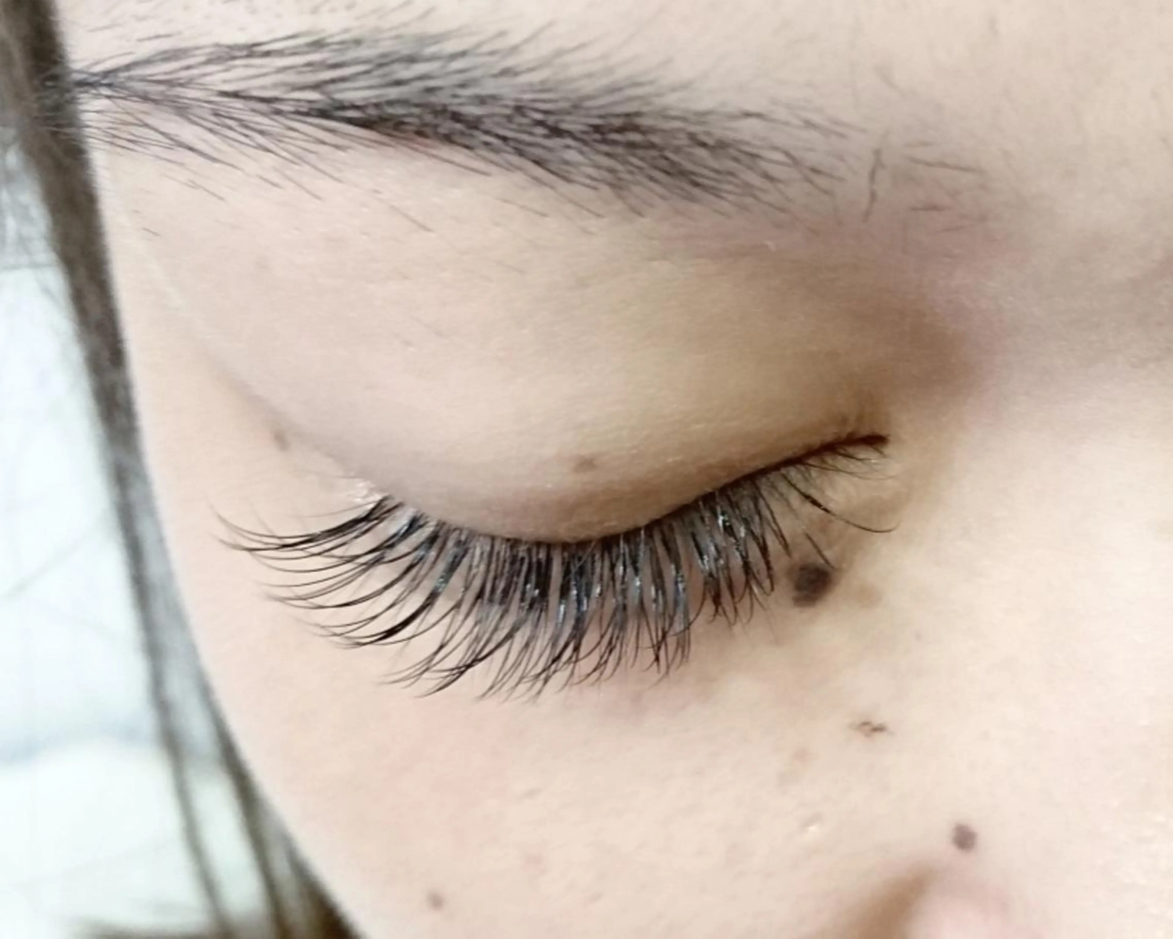 フラットラッシュ120本の写真