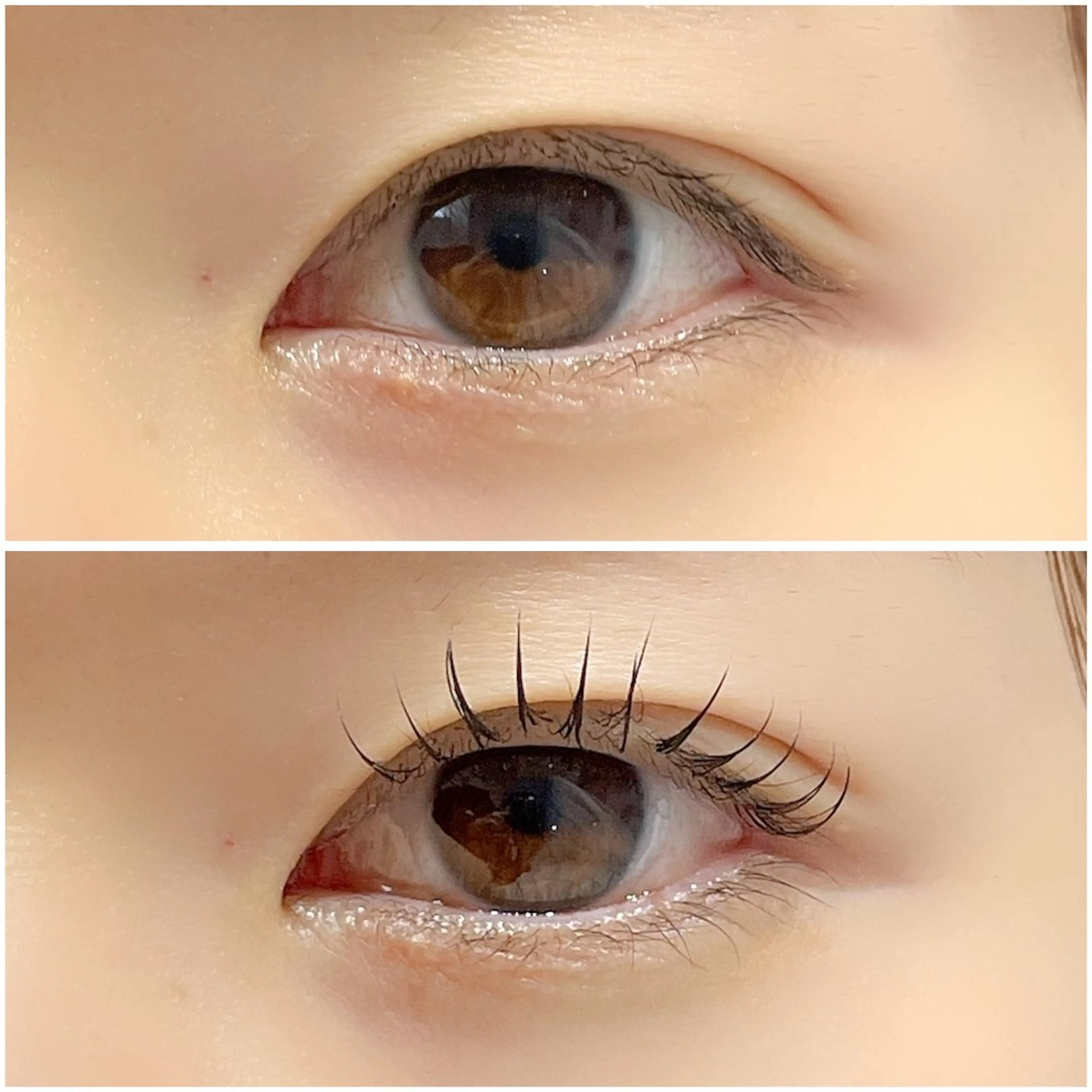 マツエク・マツパ マツエク 🤍Anna仙台店 田代 美咲‎🤍のマツエク・マツパデザイン