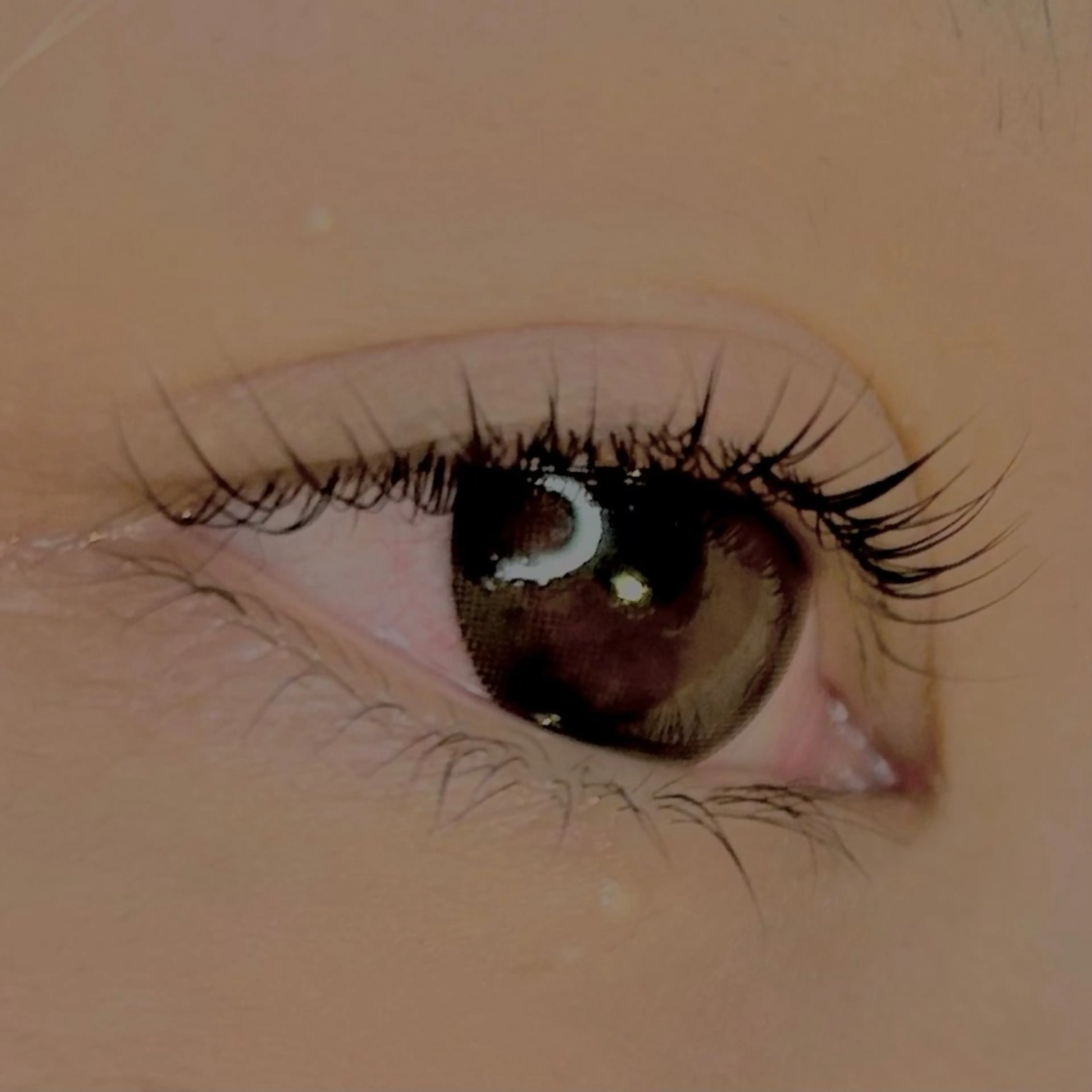 マツエク・マツパ パリジェンヌラッシュリフト soposilma 🧸今季OPENのマツエク・マツパデザイン