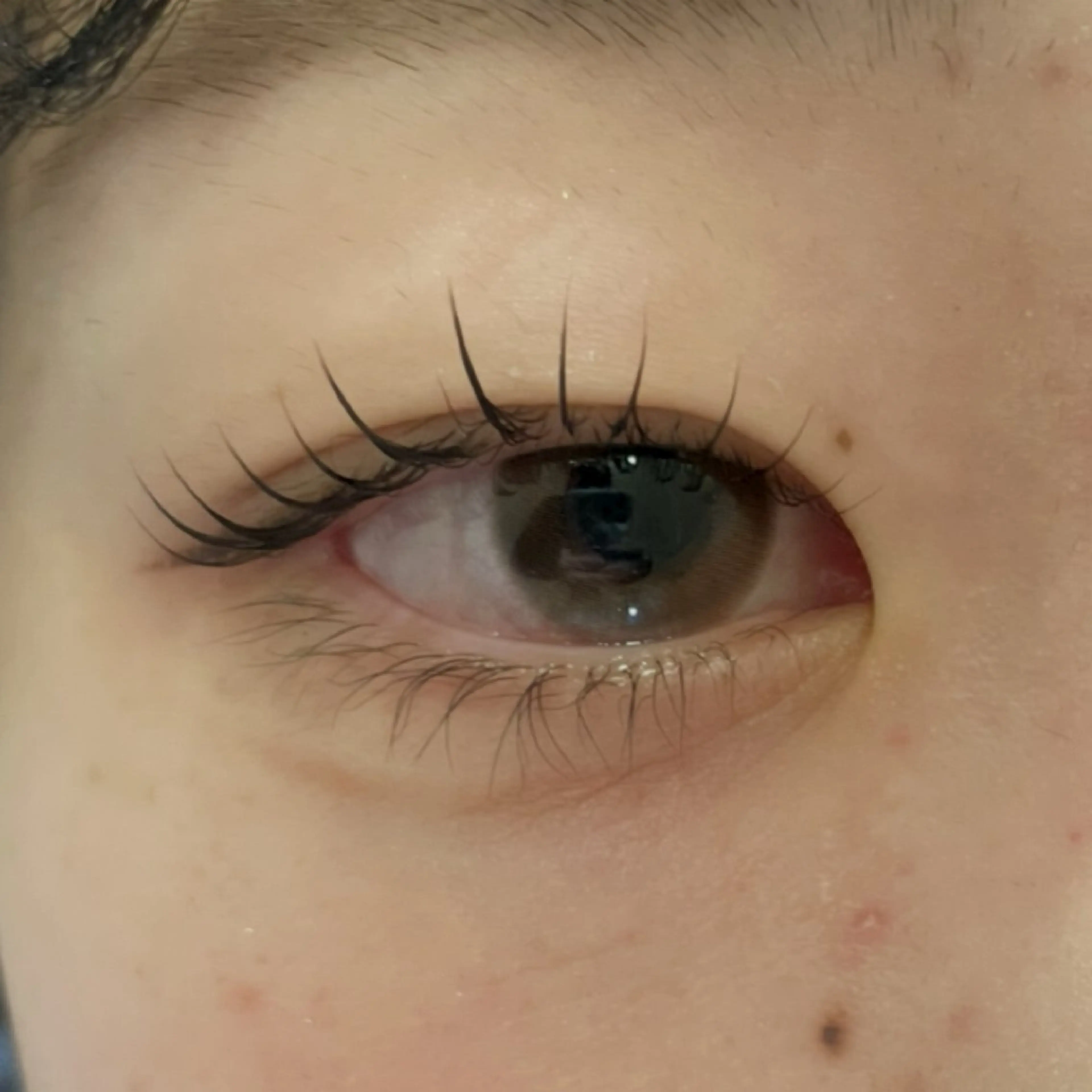 マツエク・マツパ ナチュラル まつげパーマ 一重×まつ毛パーマ オオハシ ユメナのマツエク・マツパデザイン