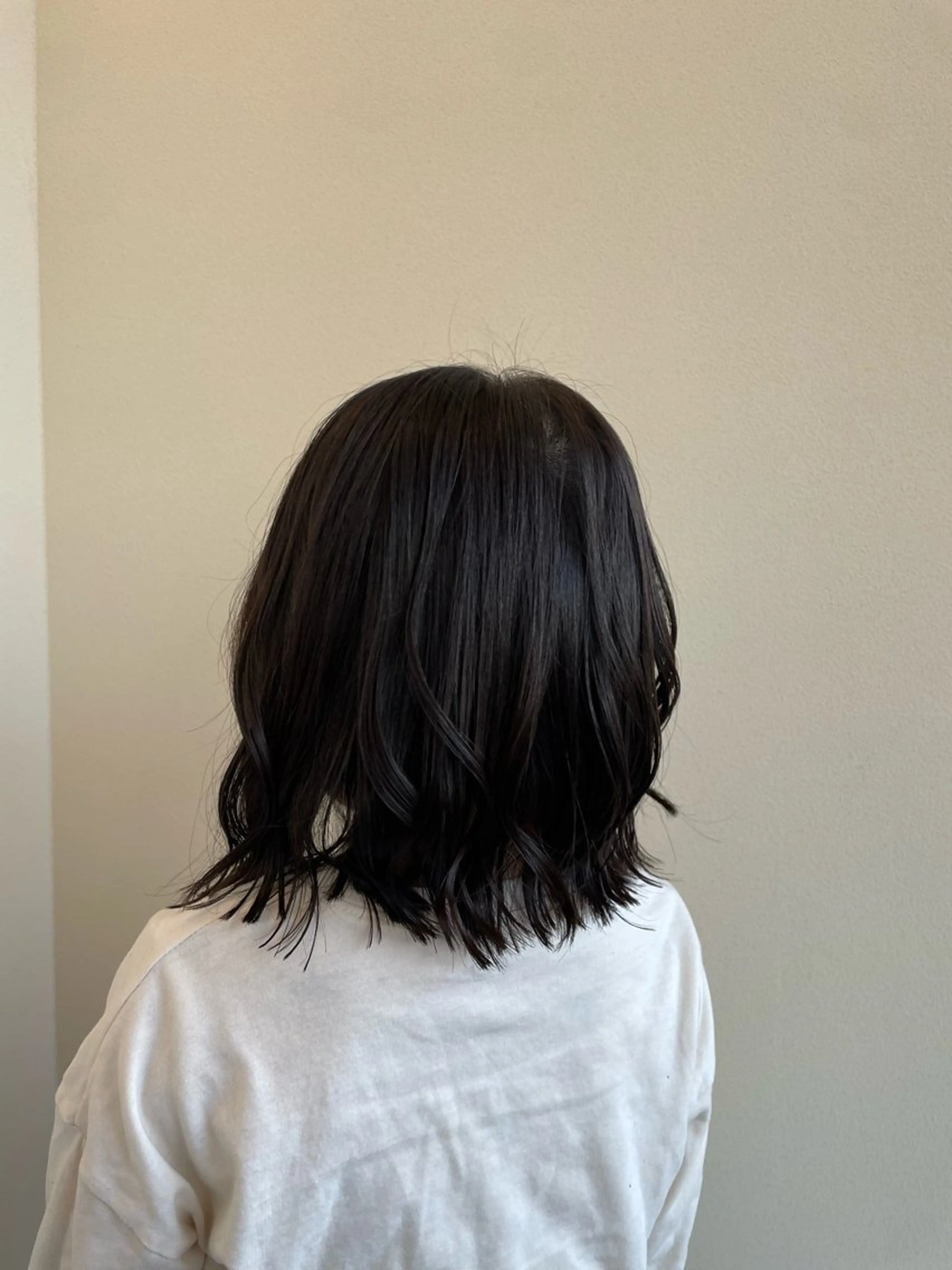 【新規】シャンプーカットの写真