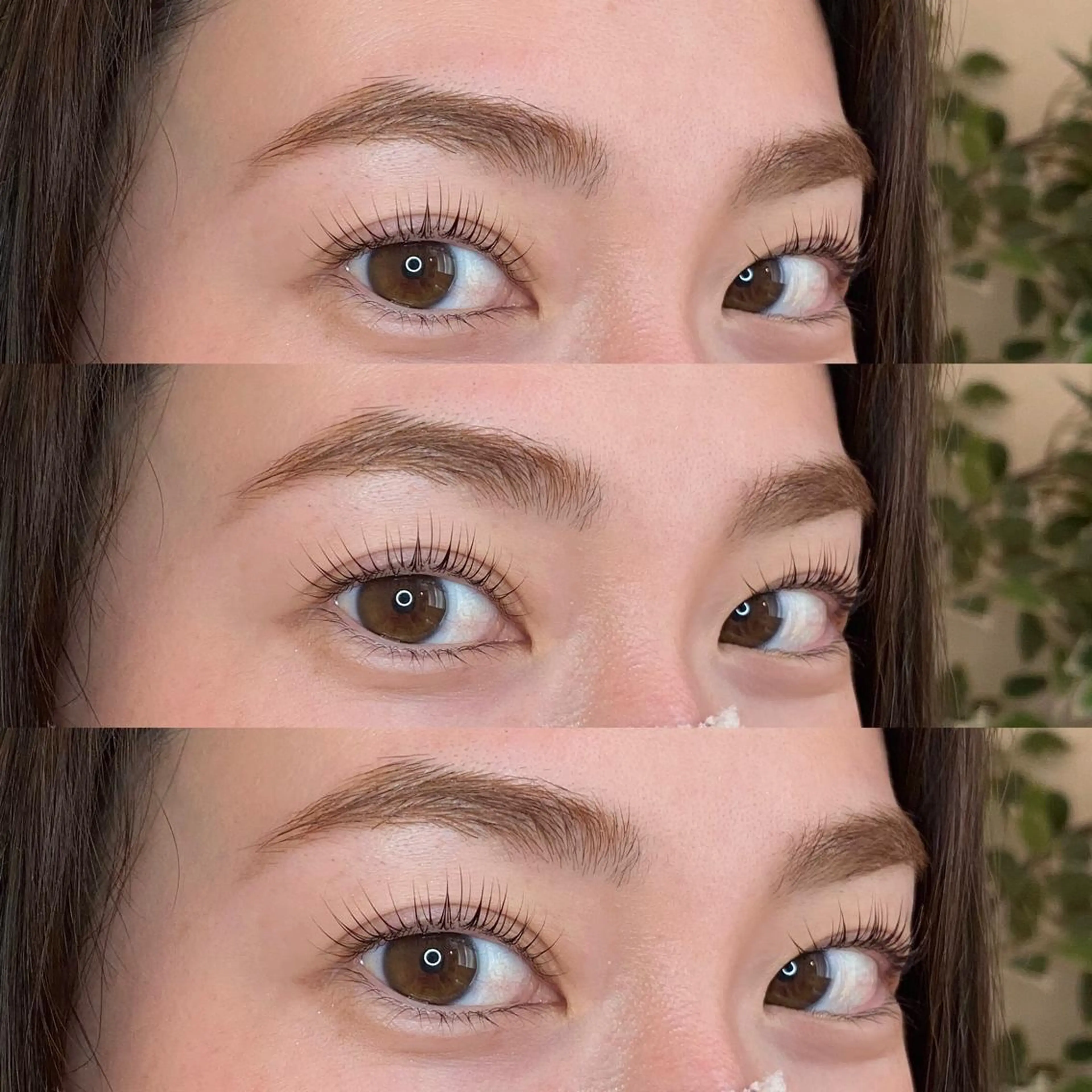 マツエク・マツパ パリジェンヌラッシュリフト マツパ muk.eye sakiの眉毛・アイブロウイメージ