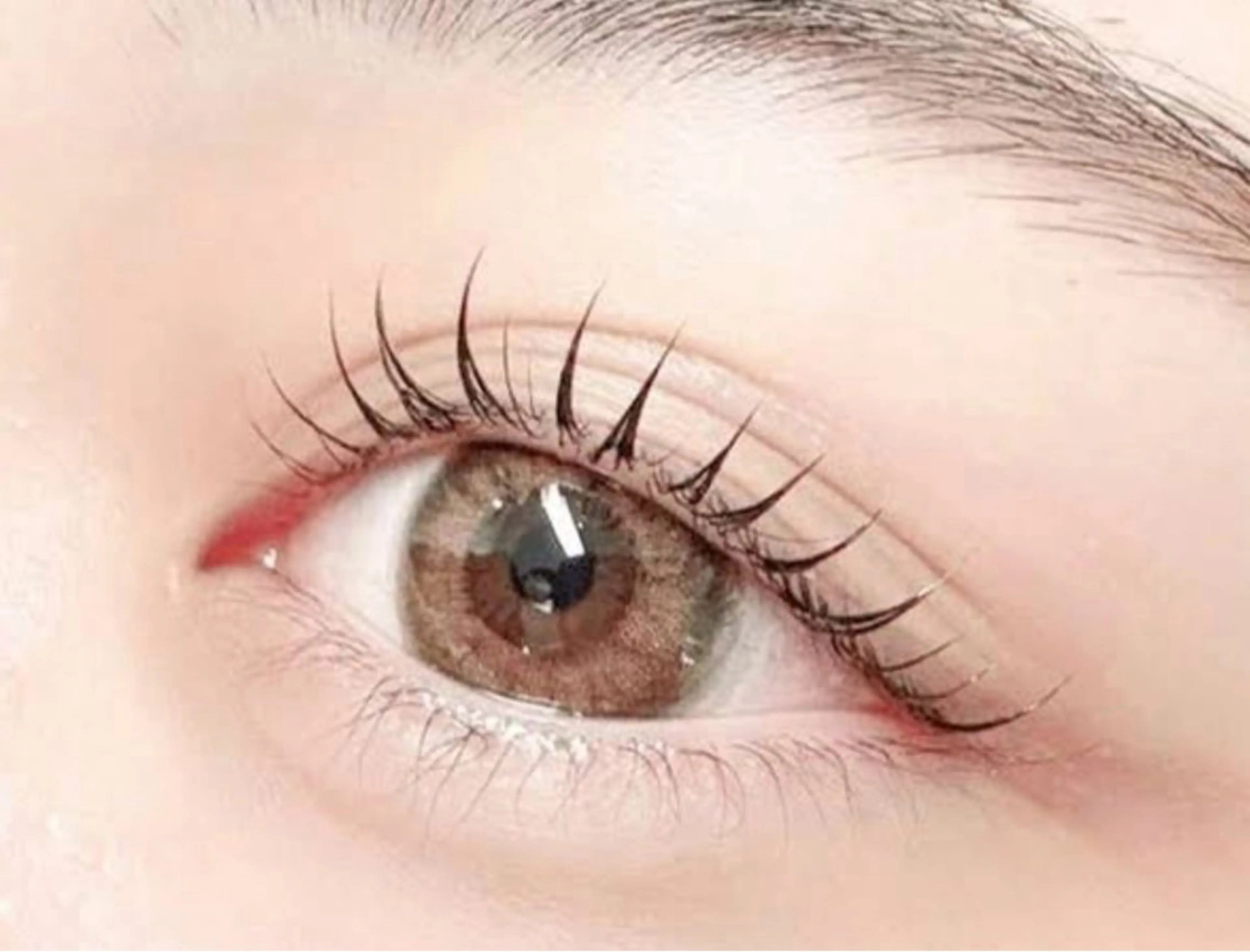 ドールリフトカールの写真