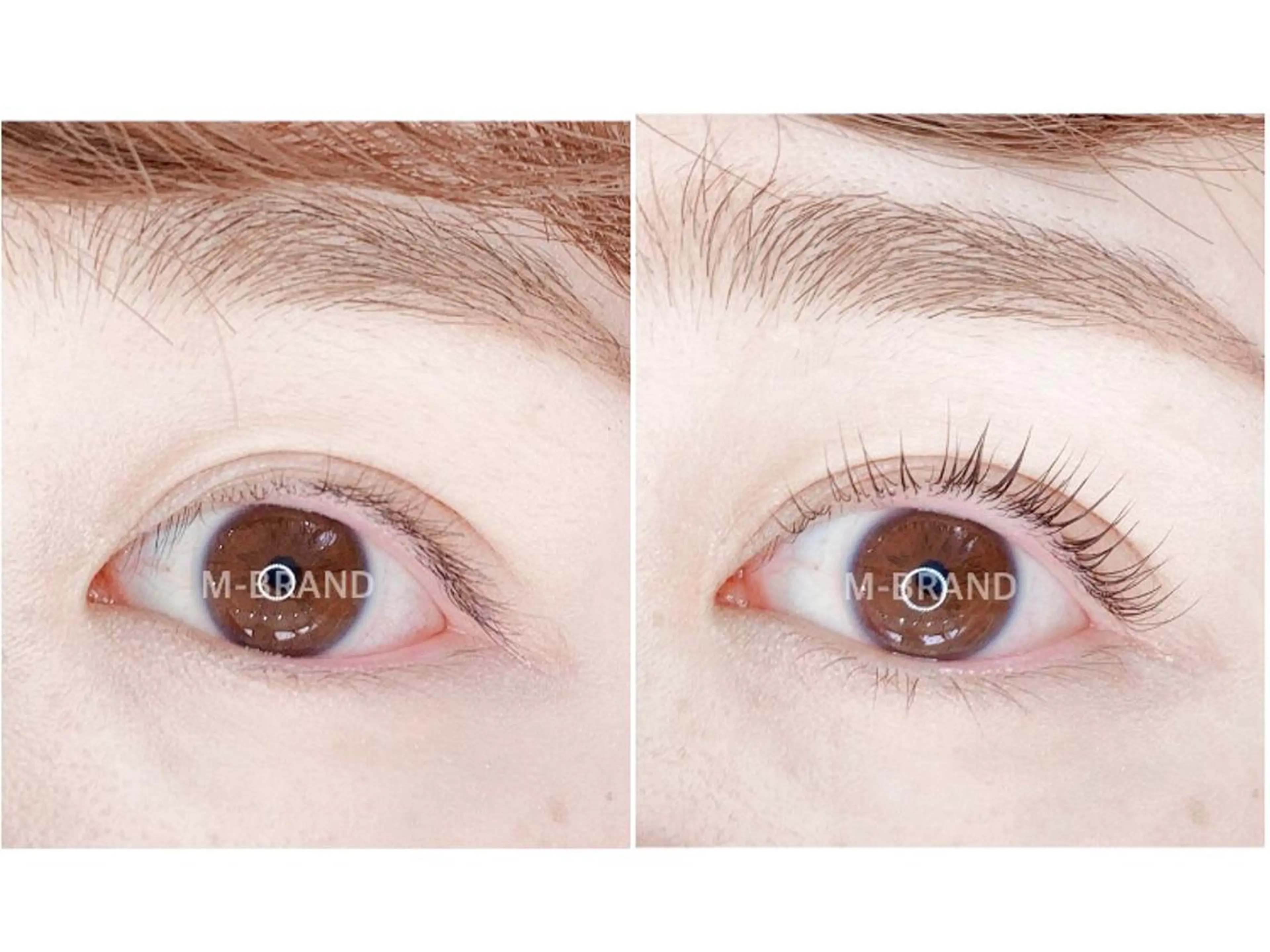 マツエク・マツパ パリジェンヌラッシュリフト エクスキャンベル本店所属・エクスキャンベル 本店のマツエク・マツパデザイン