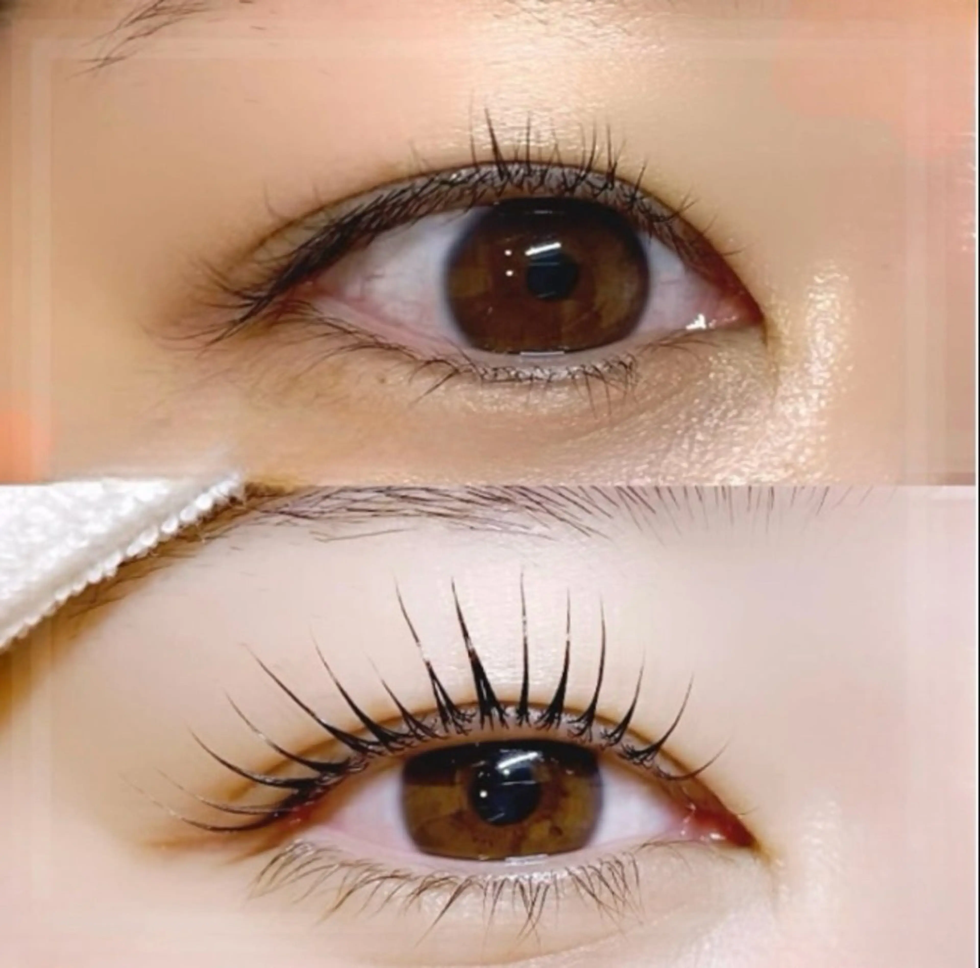 新人モデル様募集　【13日9時​〜​・13日10時半​〜​・15日15時半​〜​のみ受付】パリジェンヌorまつ毛パーマの写真