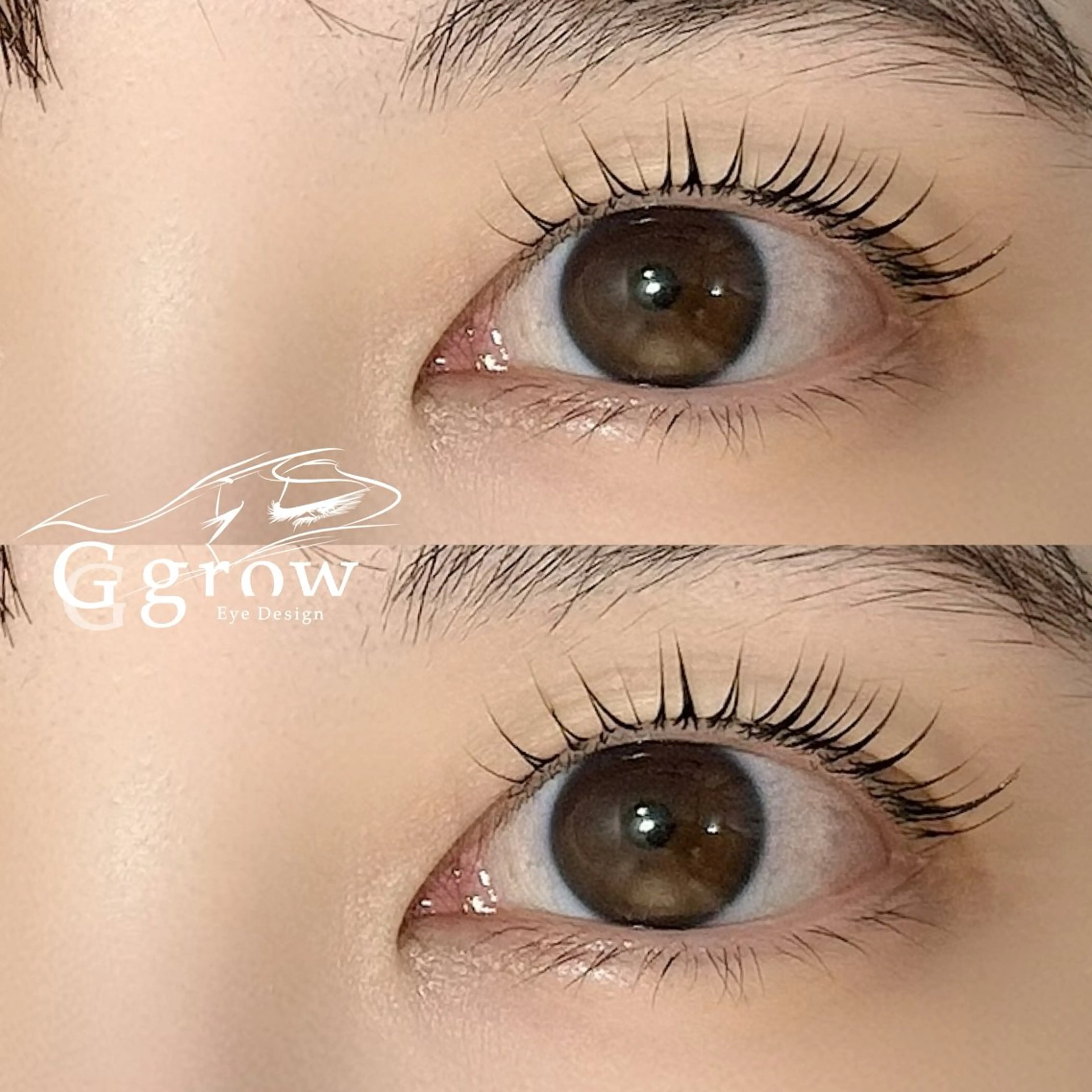 ãããšã¯ã»ããã ããã ðð ð«ðšð° ððŠðšðŠðšã®ãããšã¯ã»ããããã¶ã€ã³