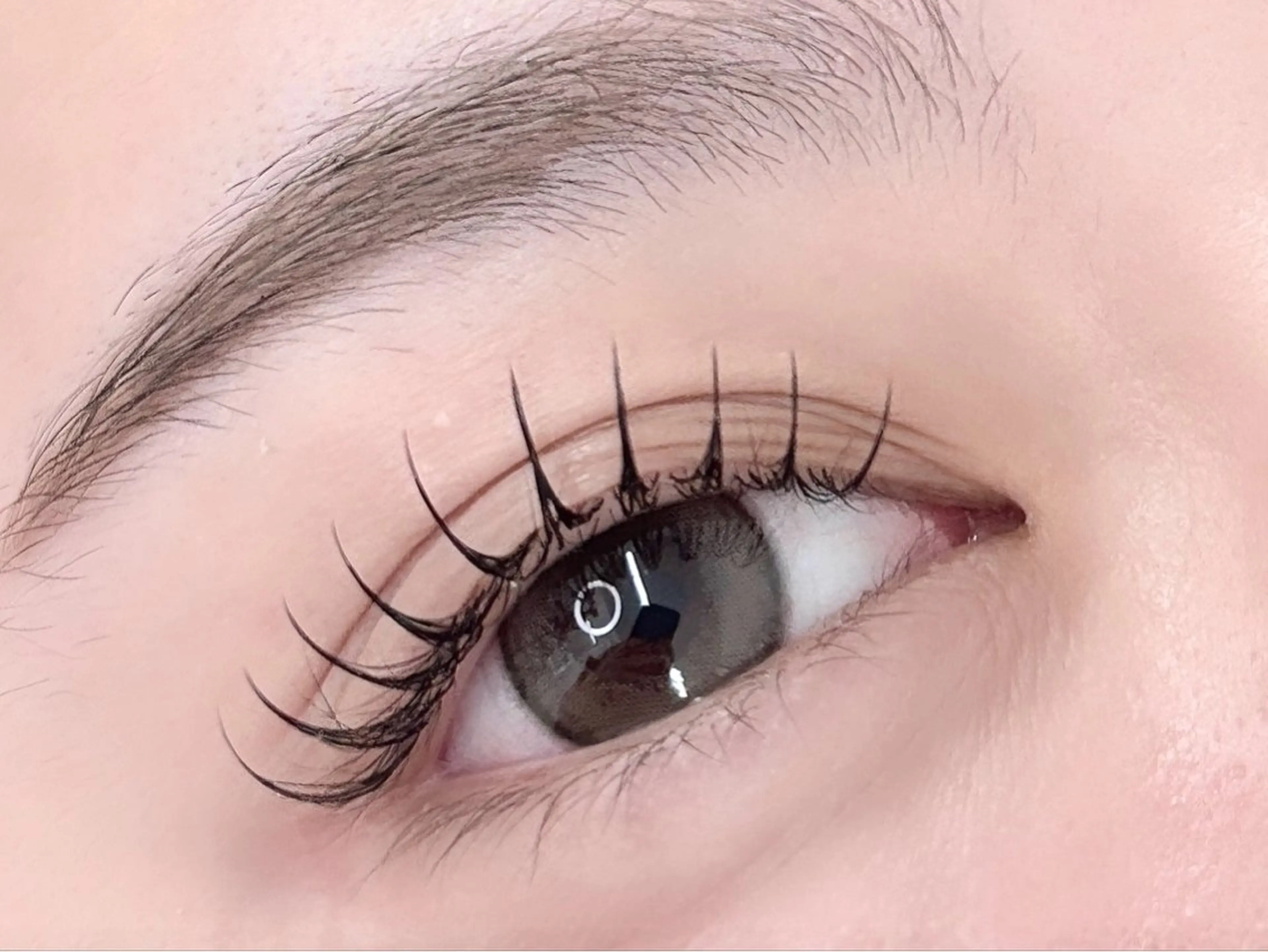 マツエク・マツパ Ayame&heal thy/ワンホン\のマツエク・マツパデザイン