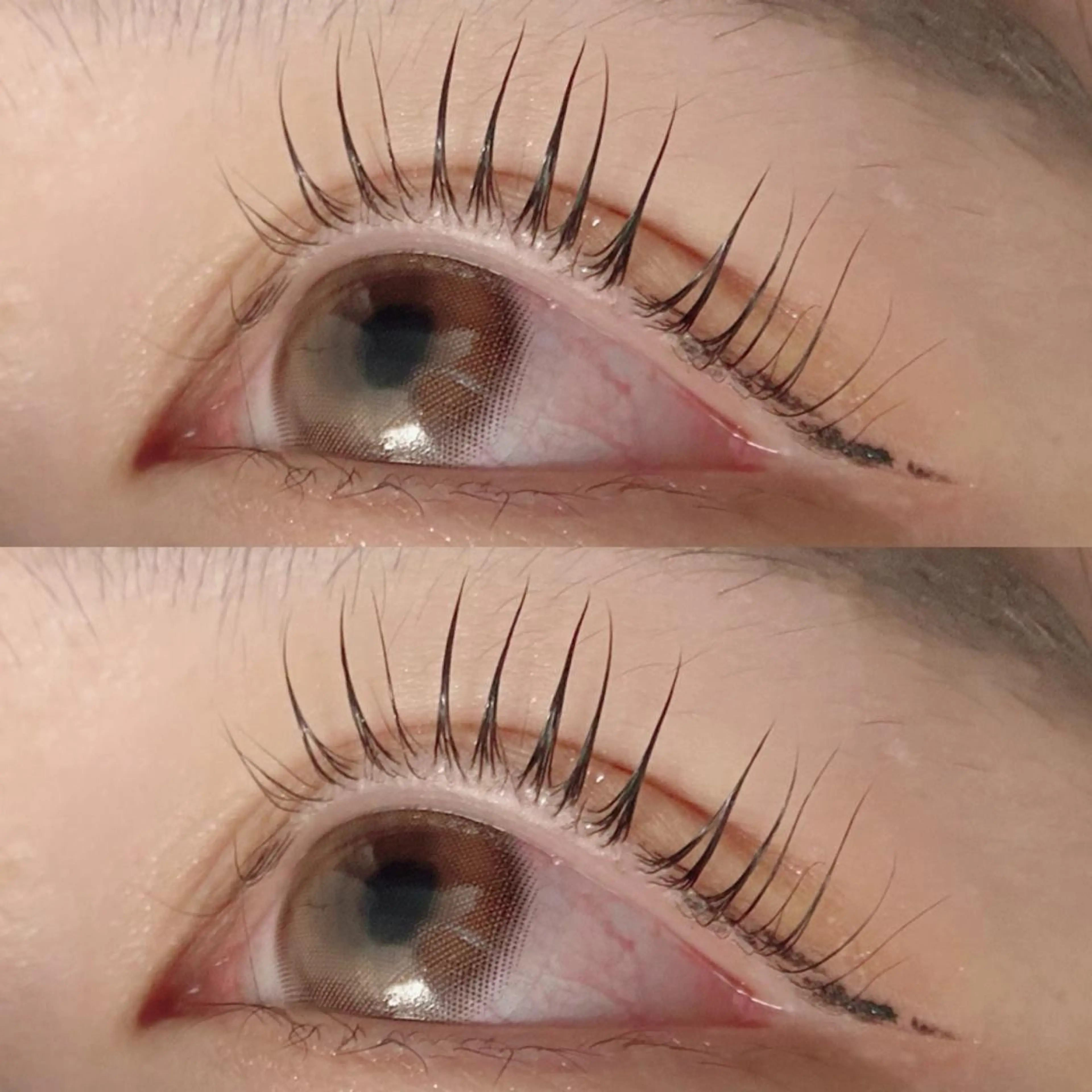 マツエク・マツパ マツパ Favori 川上のマツエク・マツパデザイン