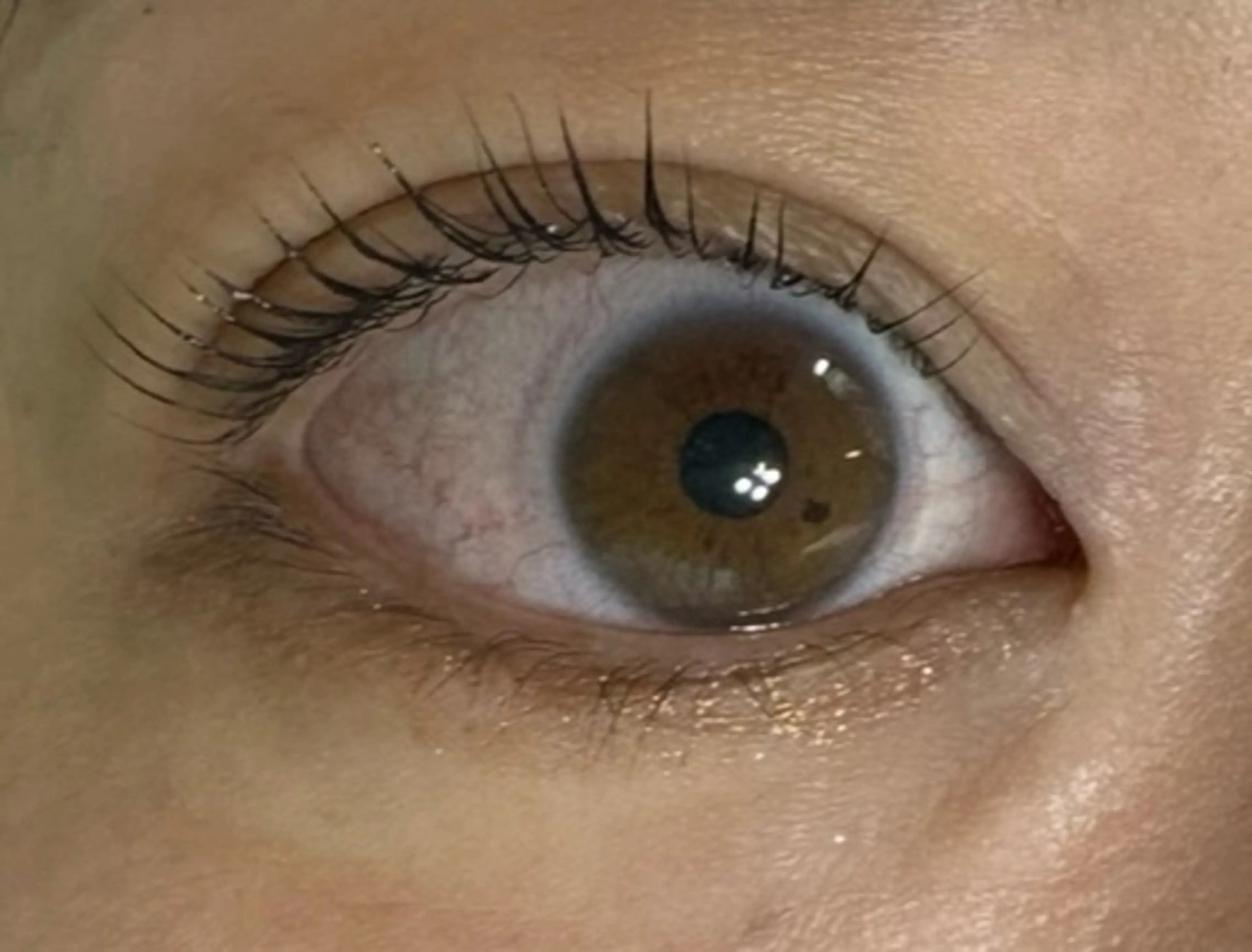 マツエク・マツパ Dolce まつげパーマ・パリジェンヌ 小田原店所属・saito maiのマツエク・マツパデザイン