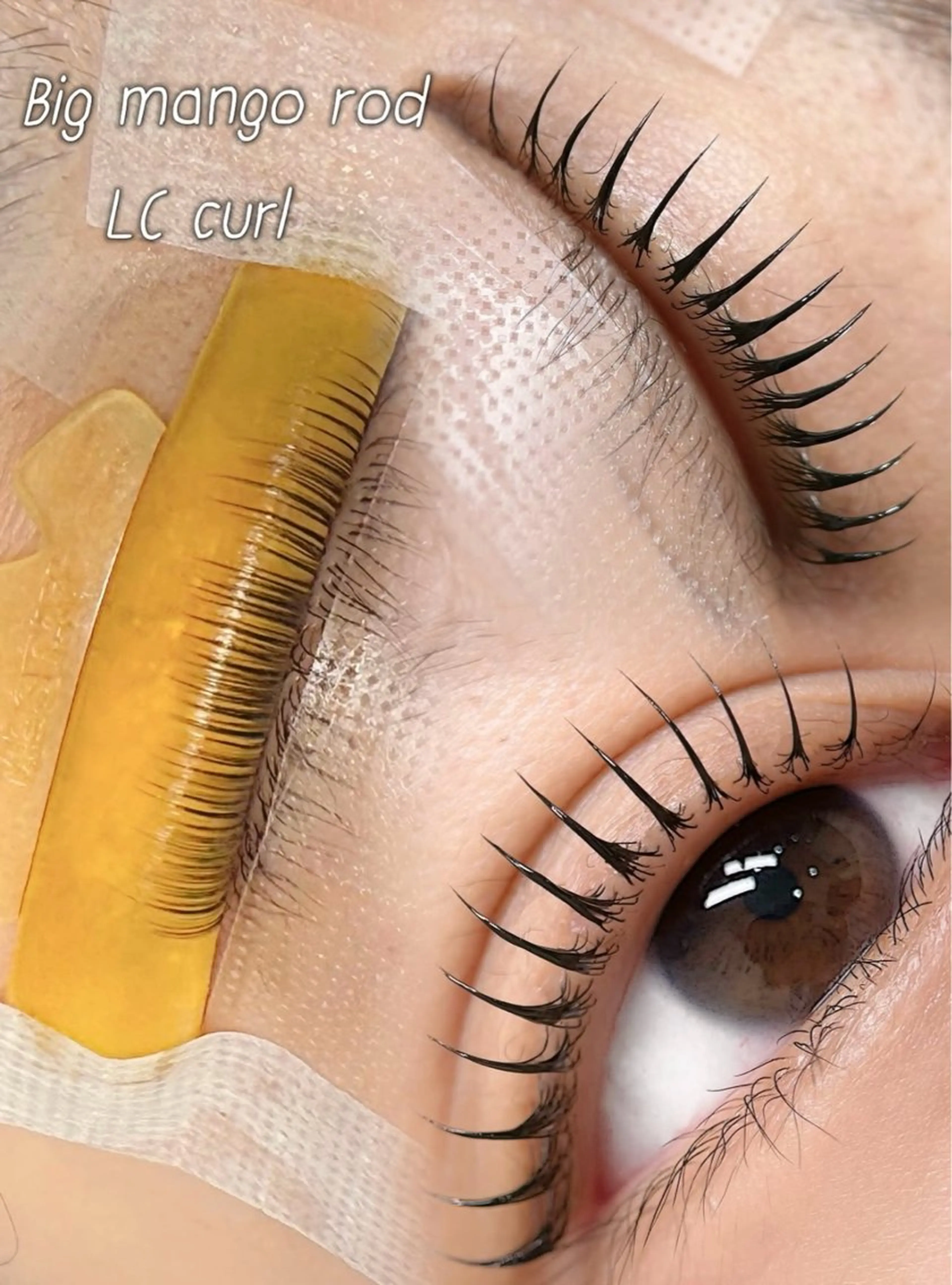 韓ドル風👼束感まつ毛パーマ🎀（韓国ロッド）の写真