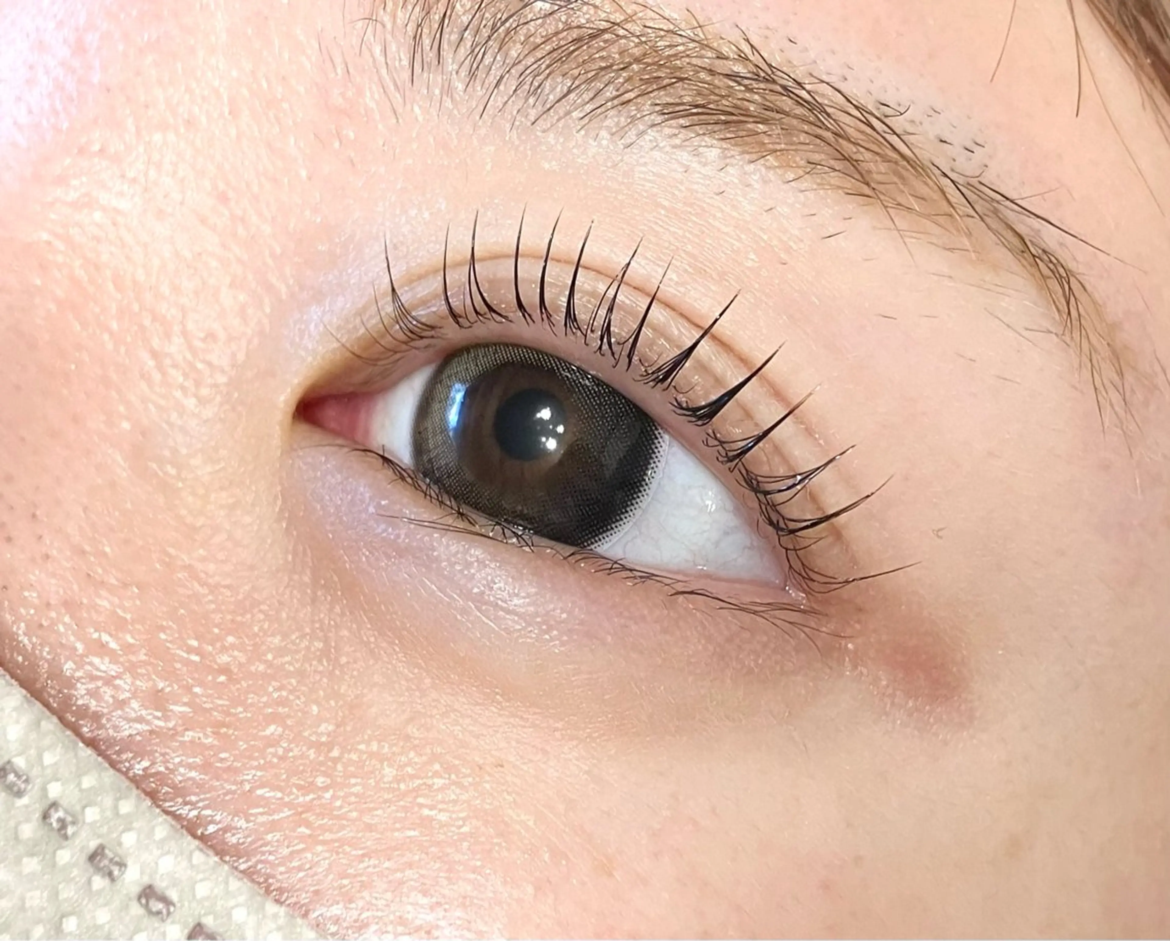 🧚♂️人気NO.1🧚♂️似合わせまつげパーマの写真