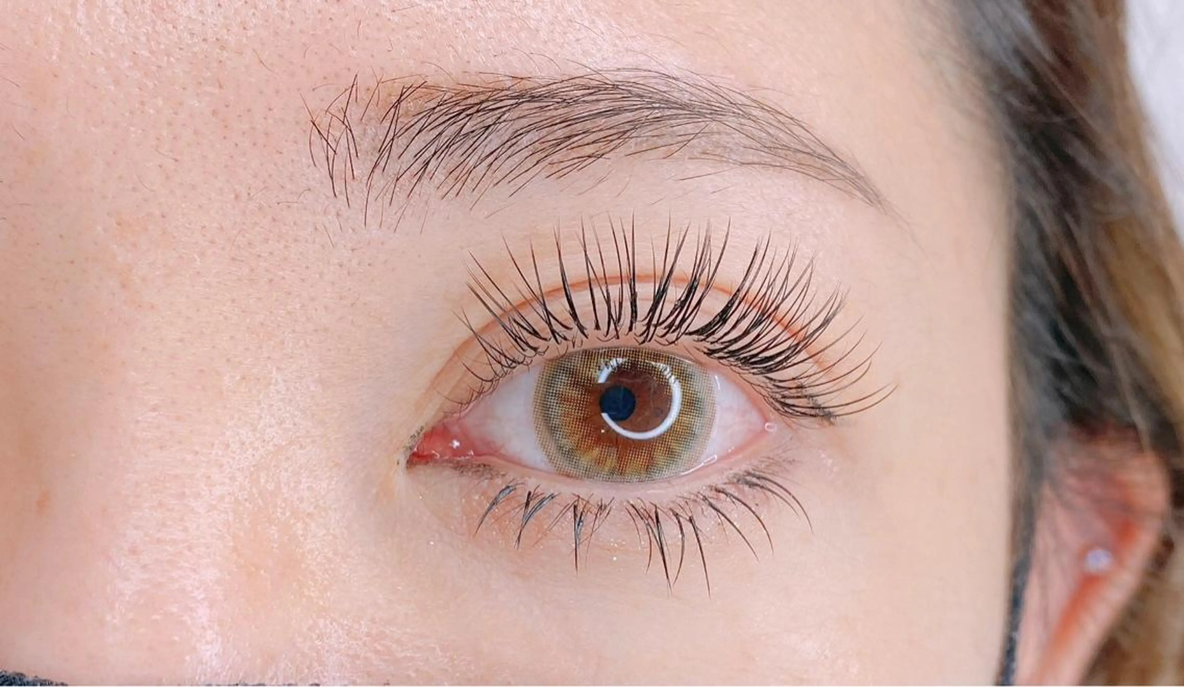 フラットラッシュ120本の写真