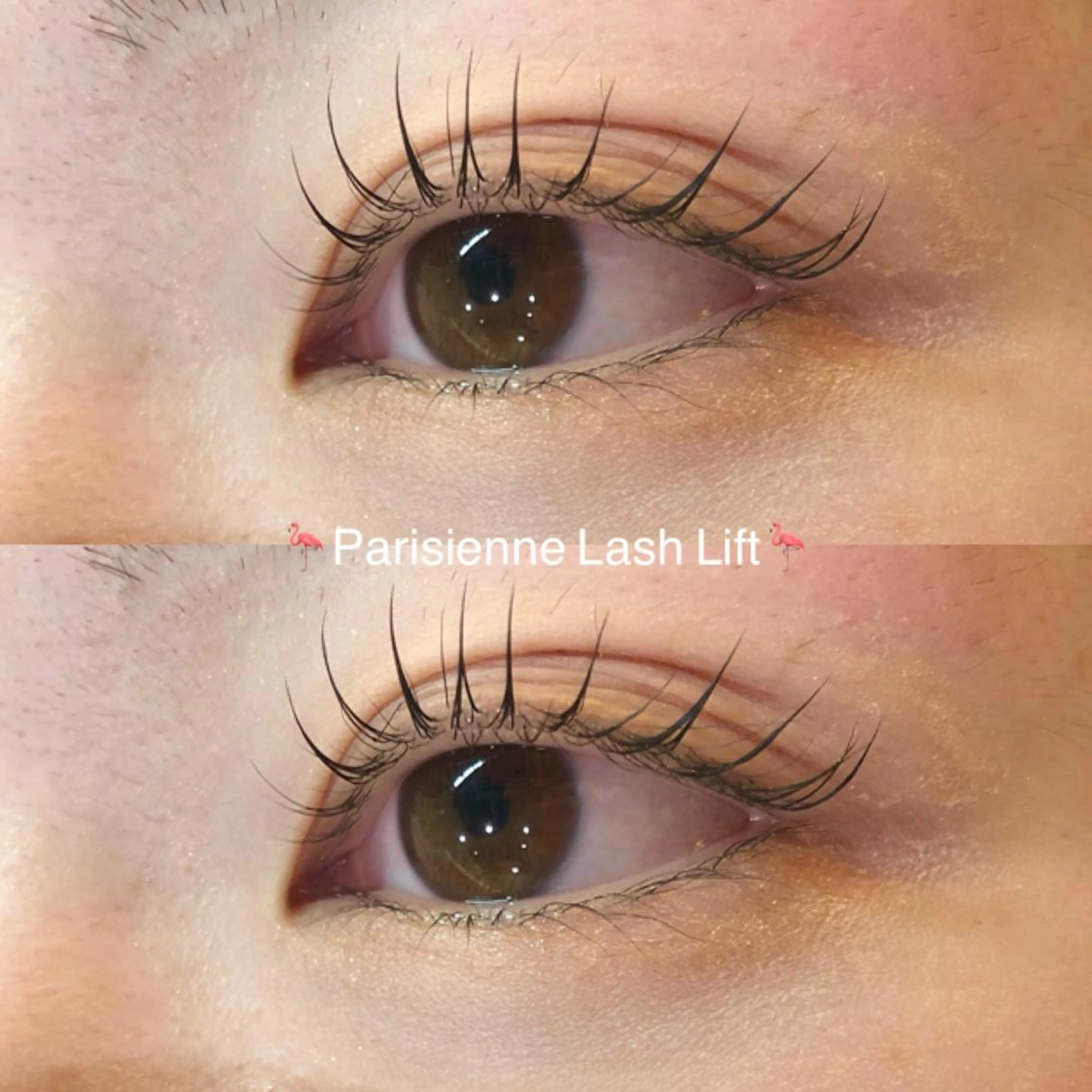 マツエク・マツパ 束感まつ毛 パリジェンヌラッシュリフト マツパ Ibuki 🎀仙台パルコ🎀のマツエク・マツパデザイン