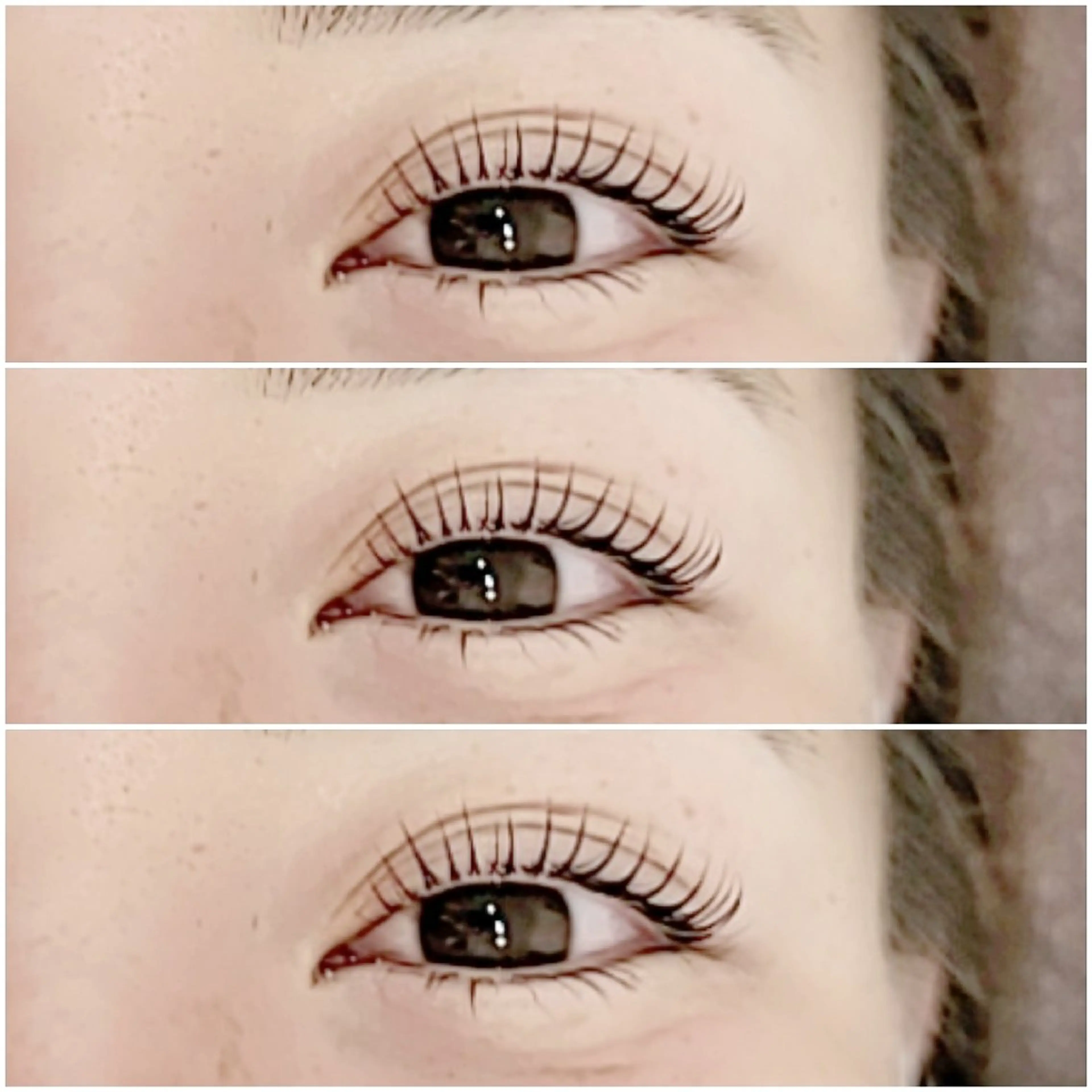 マツエク・マツパ パリジェンヌラッシュリフト eyelash  aglitter所属・aglitter🌙  _SAYURI_の眉毛・アイブロウイメージ