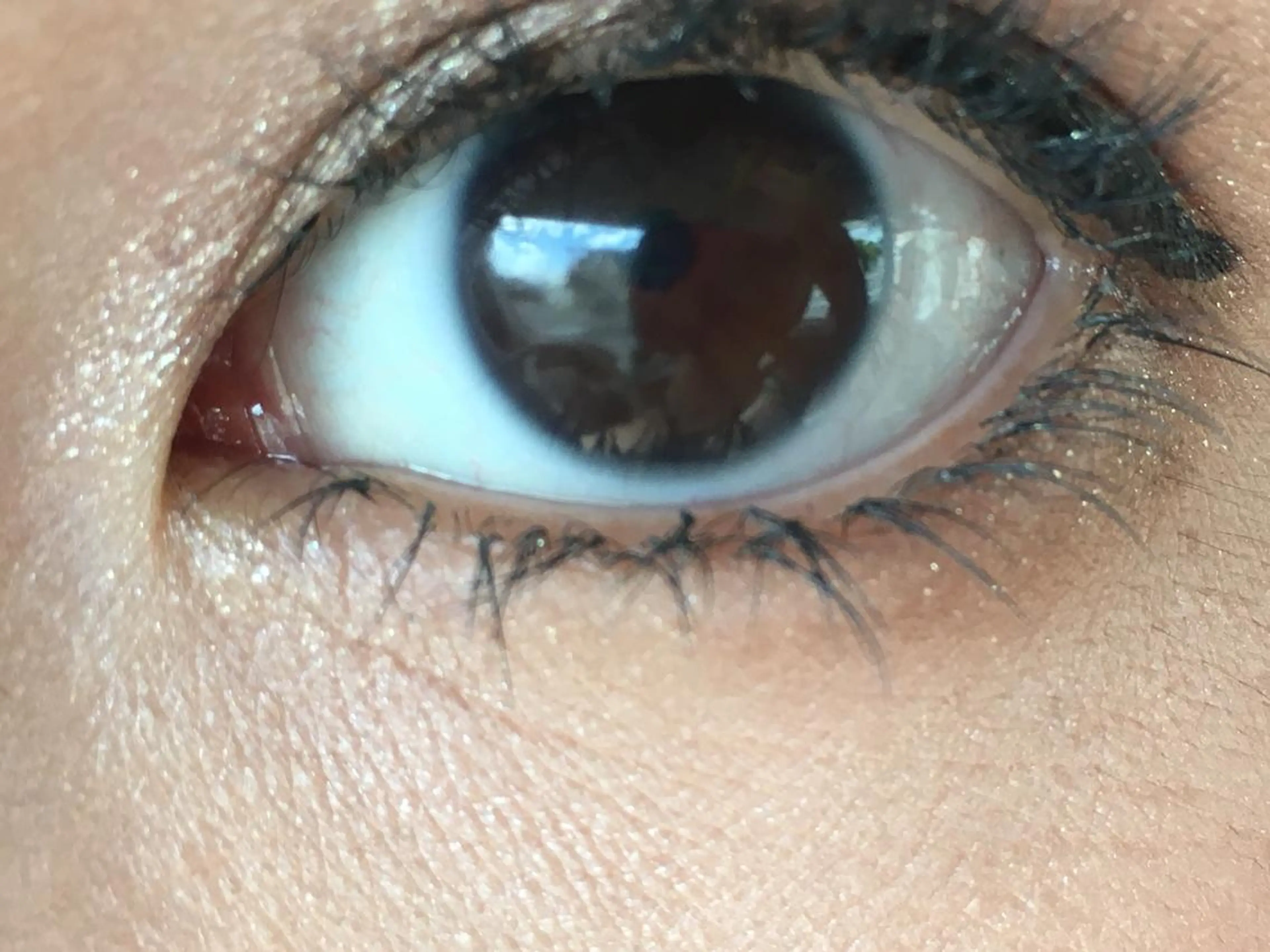 マツエク・マツパ Jカール 下まつげエクステ eyelash＆nail オクタビアス所属・オクタ ビアスのマツエク・マツパデザイン