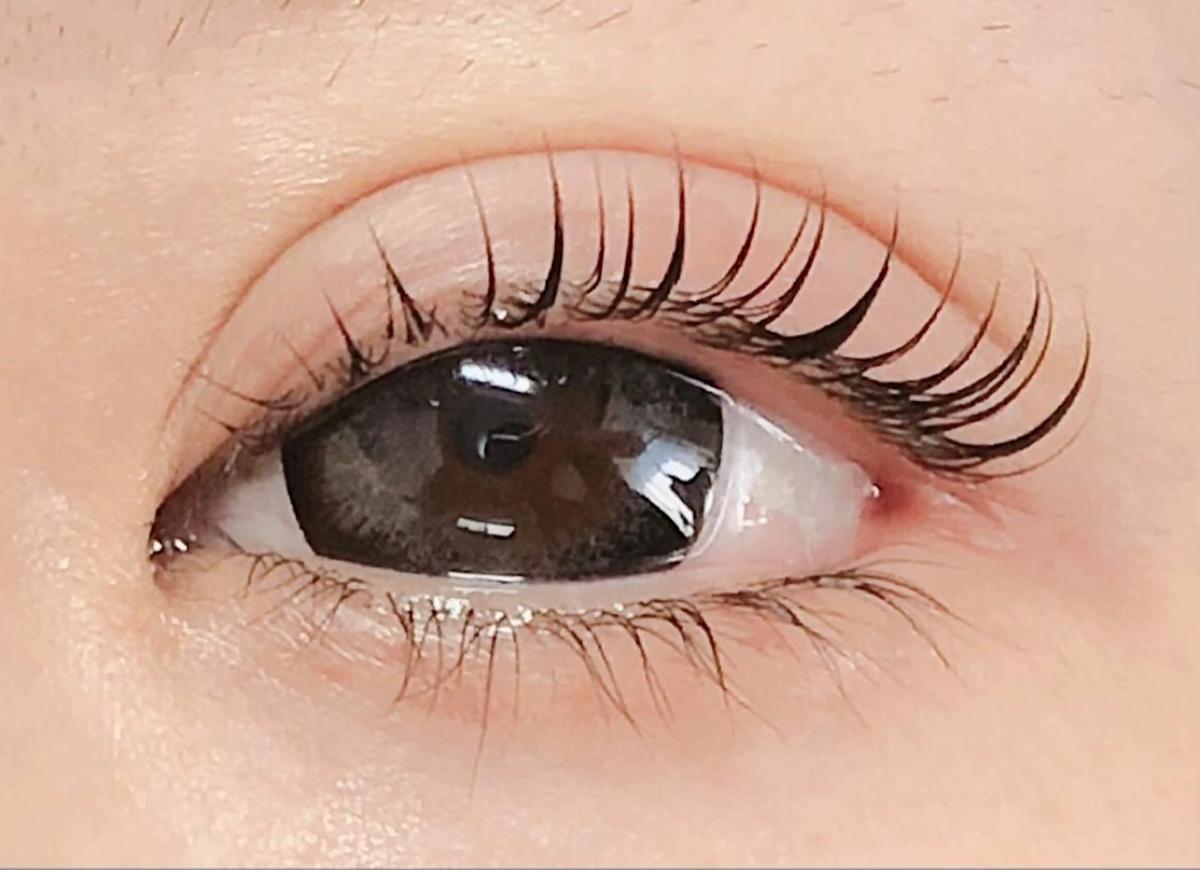 マツエク・マツパ my lash　祇園店所属・my lash 祇園店のマツエク・マツパデザイン