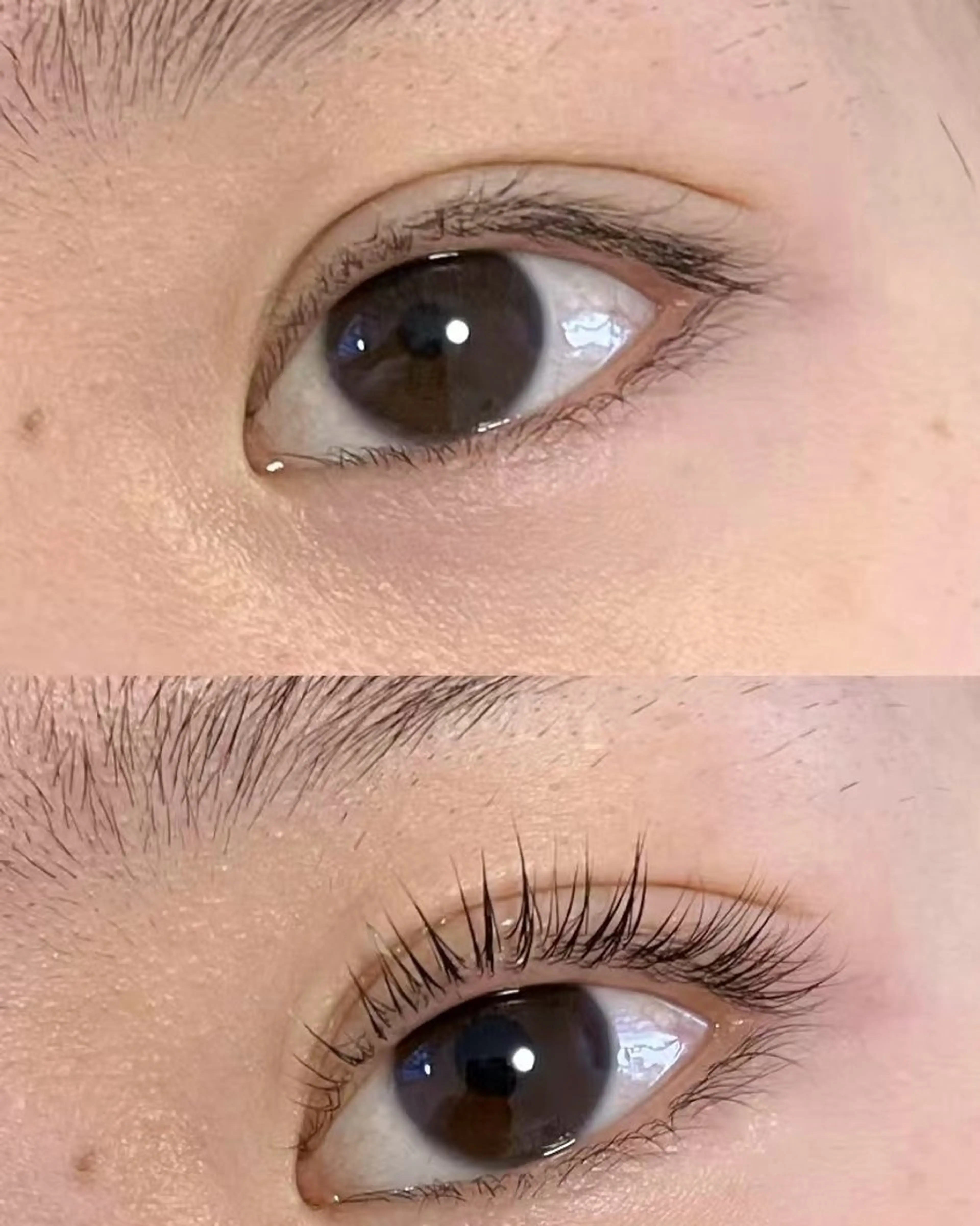 マツエク・マツパ 早 川のマツエク・マツパデザイン