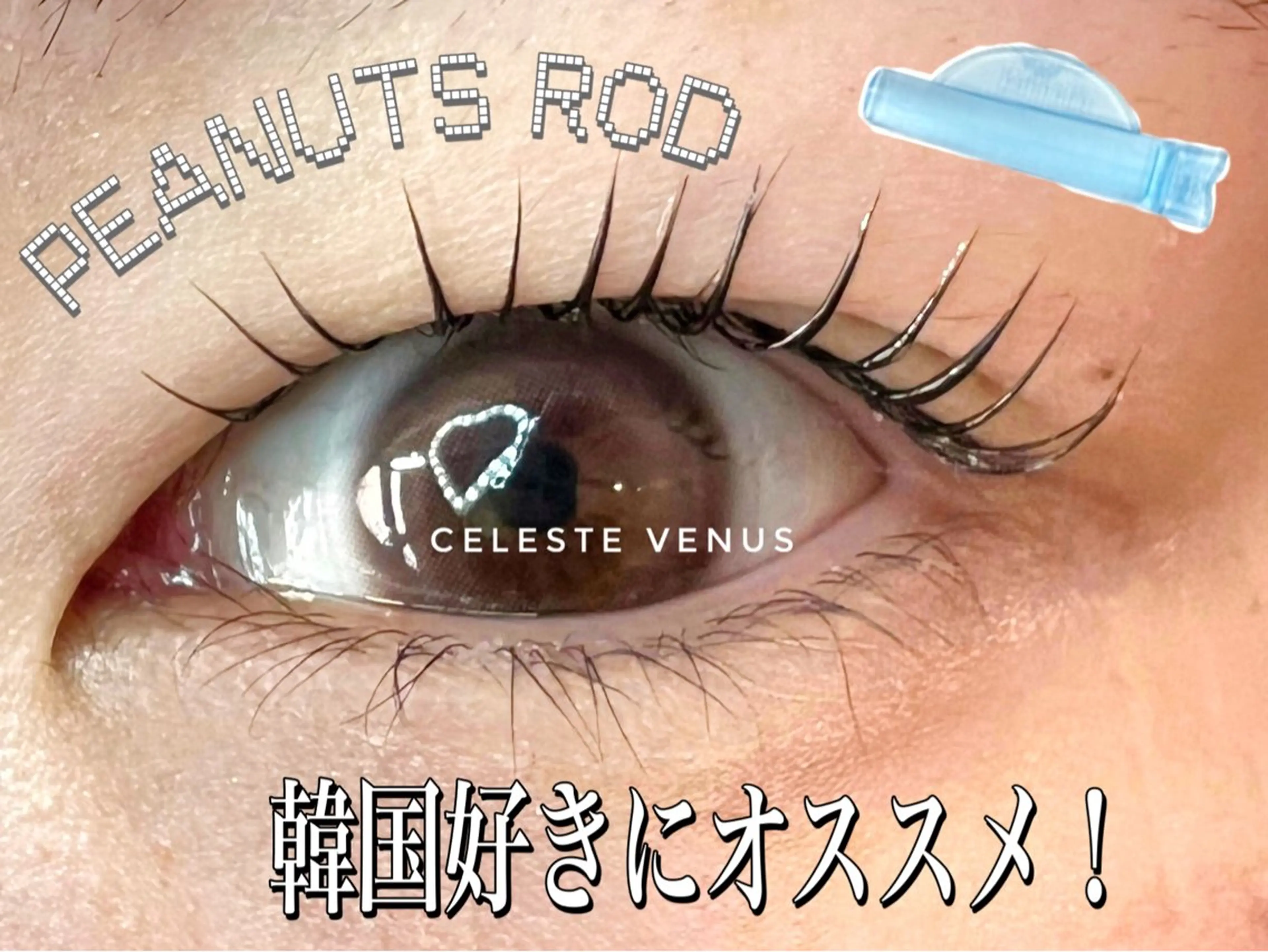 マツエク・マツパ 韓国風マツエク Celeste Venus所属・🧸Celeste Venusのマツエク・マツパデザイン