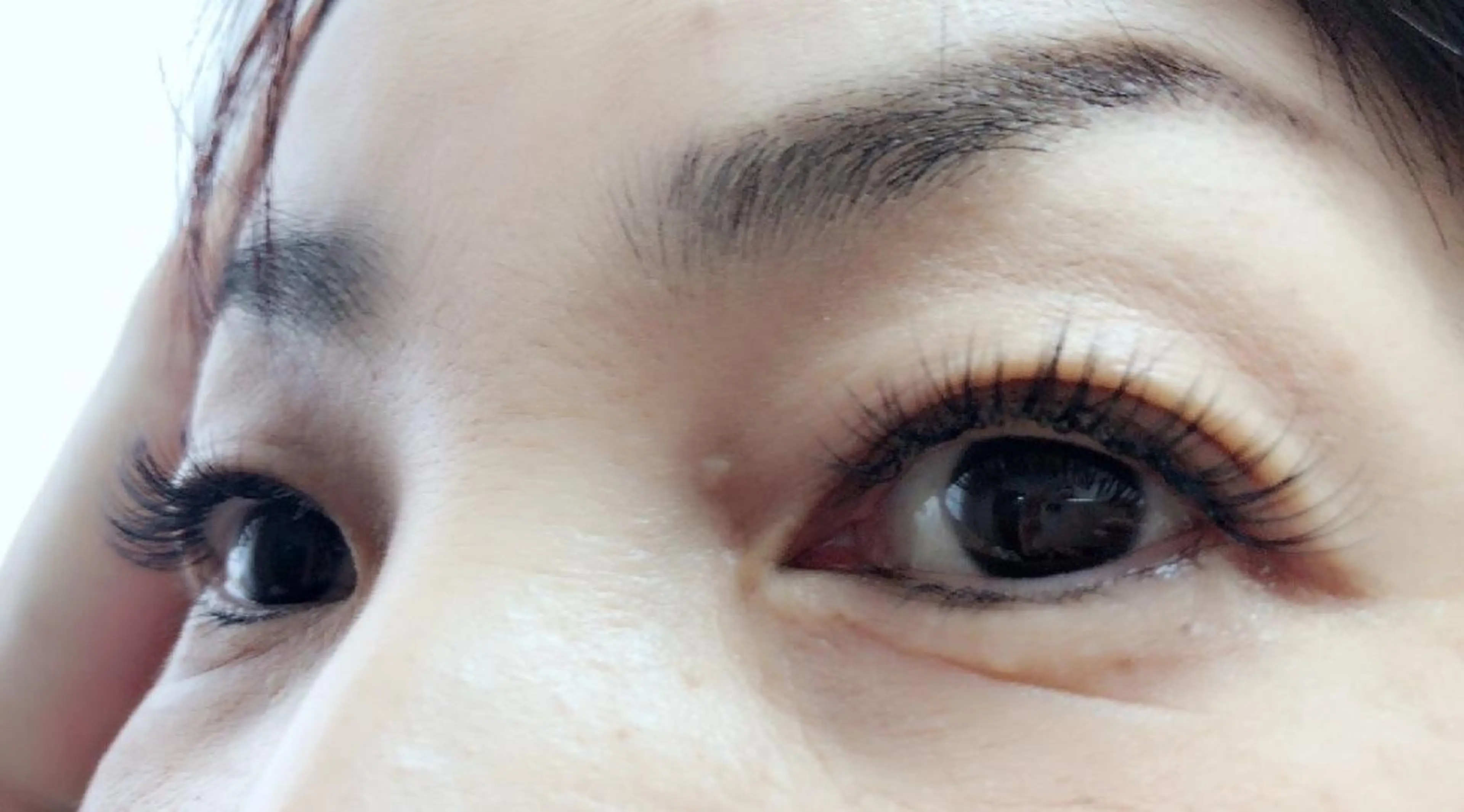 マツエク・マツパ 付け放題 フラットラッシュ セクシー 下まつげエクステ 一重×まつ毛パーマ 吉岡 ゆうなのマツエク・マツパデザイン