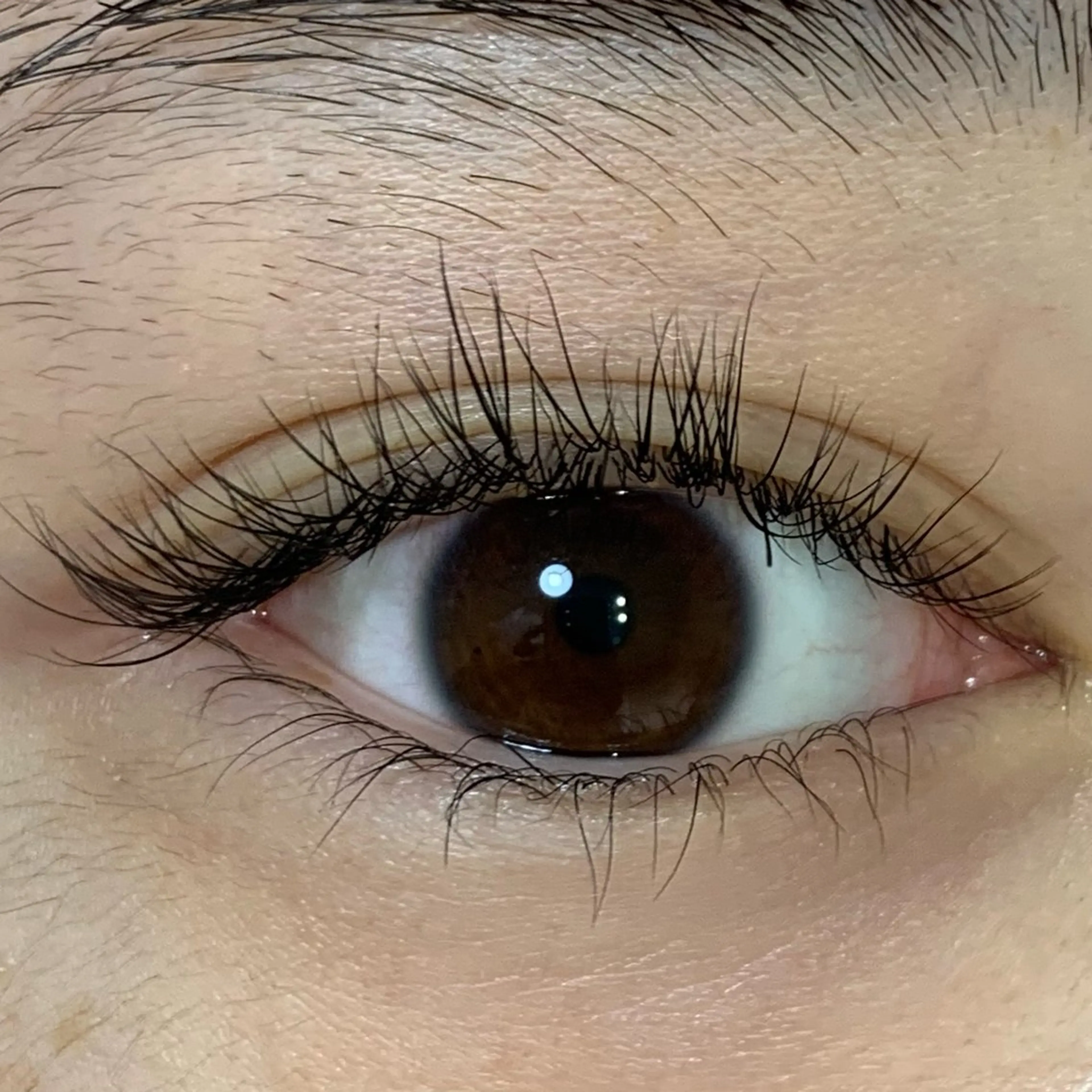 マツエク・マツパ マツエク lifra CHISAのマツエク・マツパデザイン