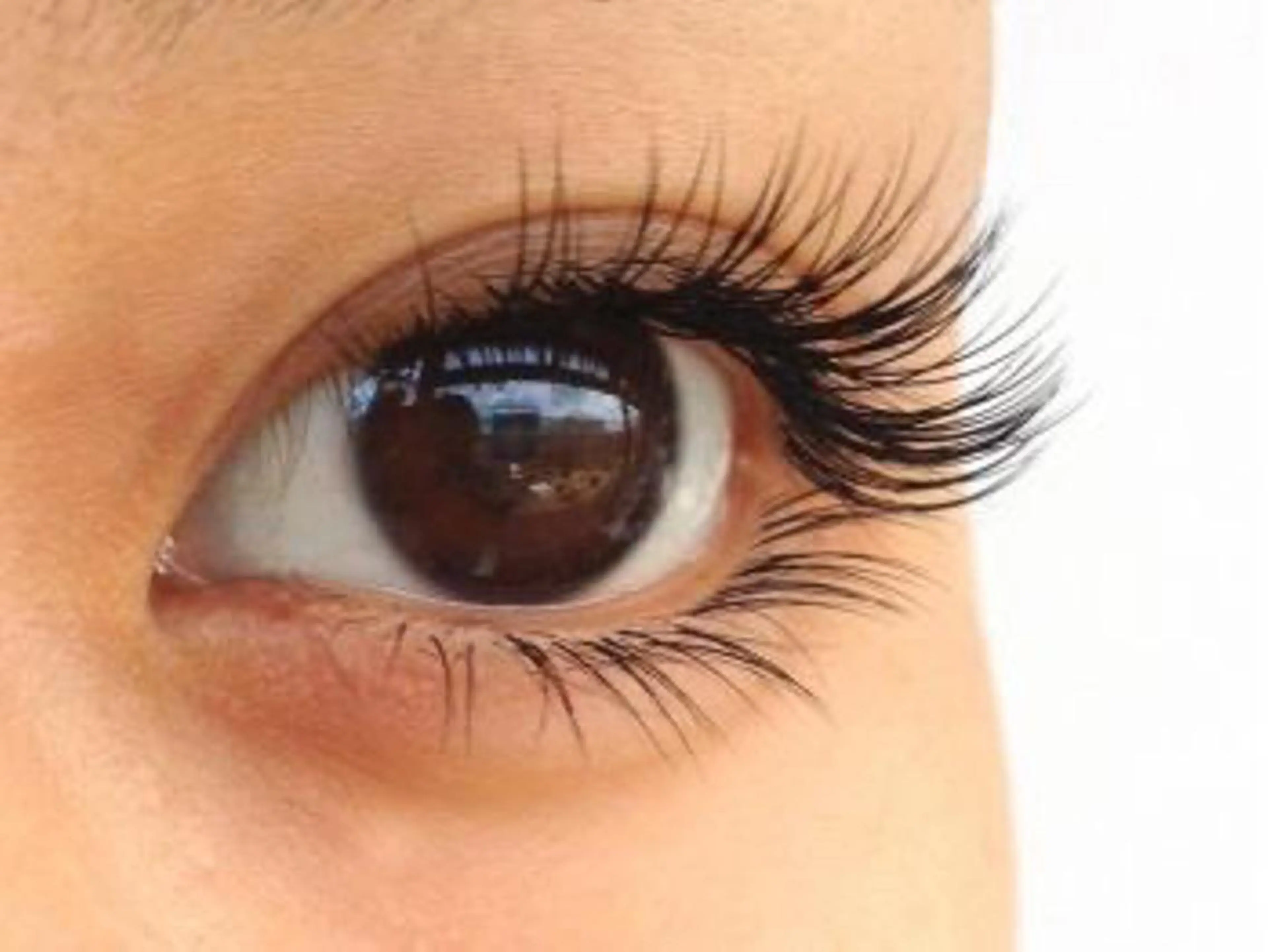 マツエク・マツパ 韓国系得意🦋 Aspire.のマツエク・マツパデザイン