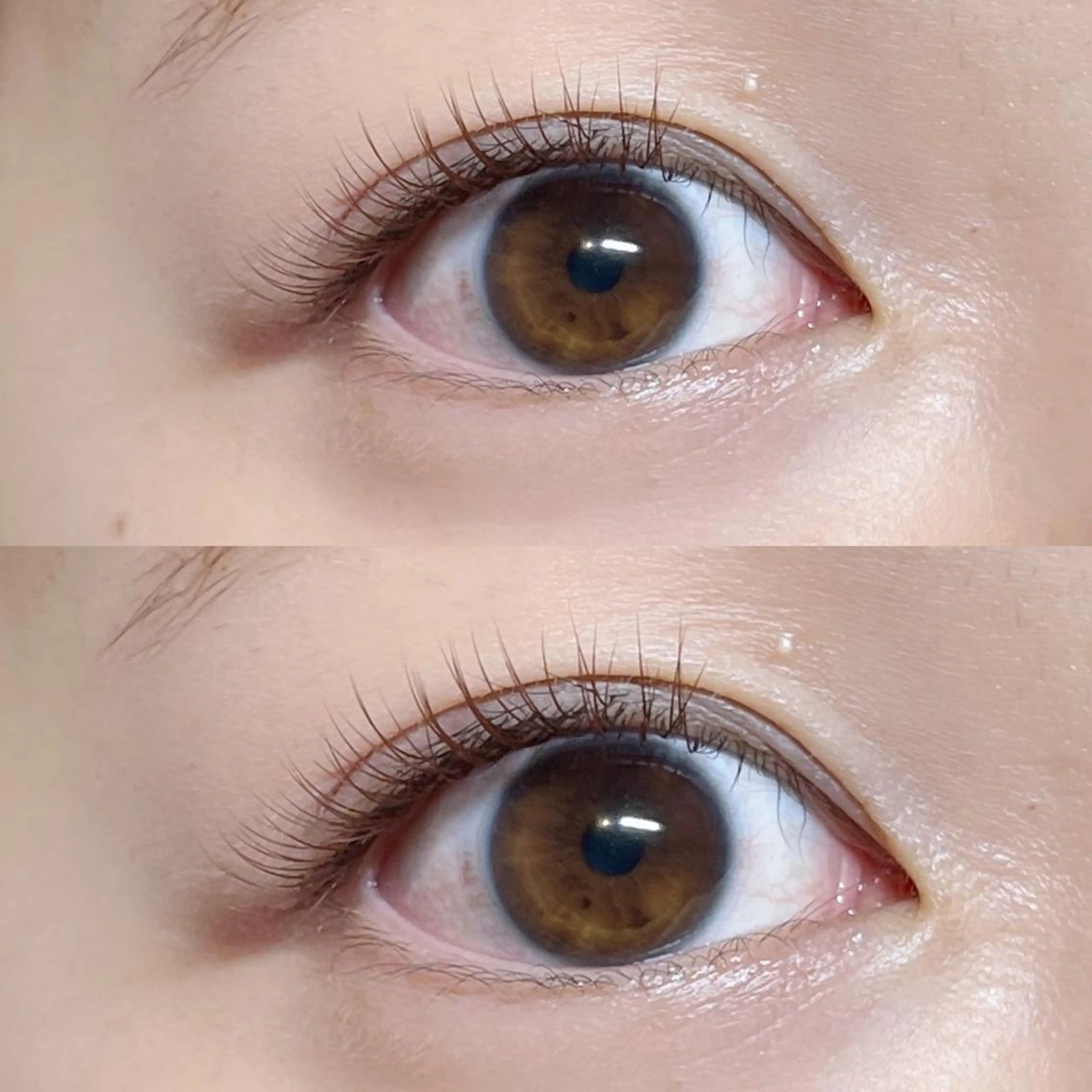 マツエク・マツパ カラーマツエク 韓国風マツエク まつげパーマ warme𓂂𓂃 fukaのヘアスタイル