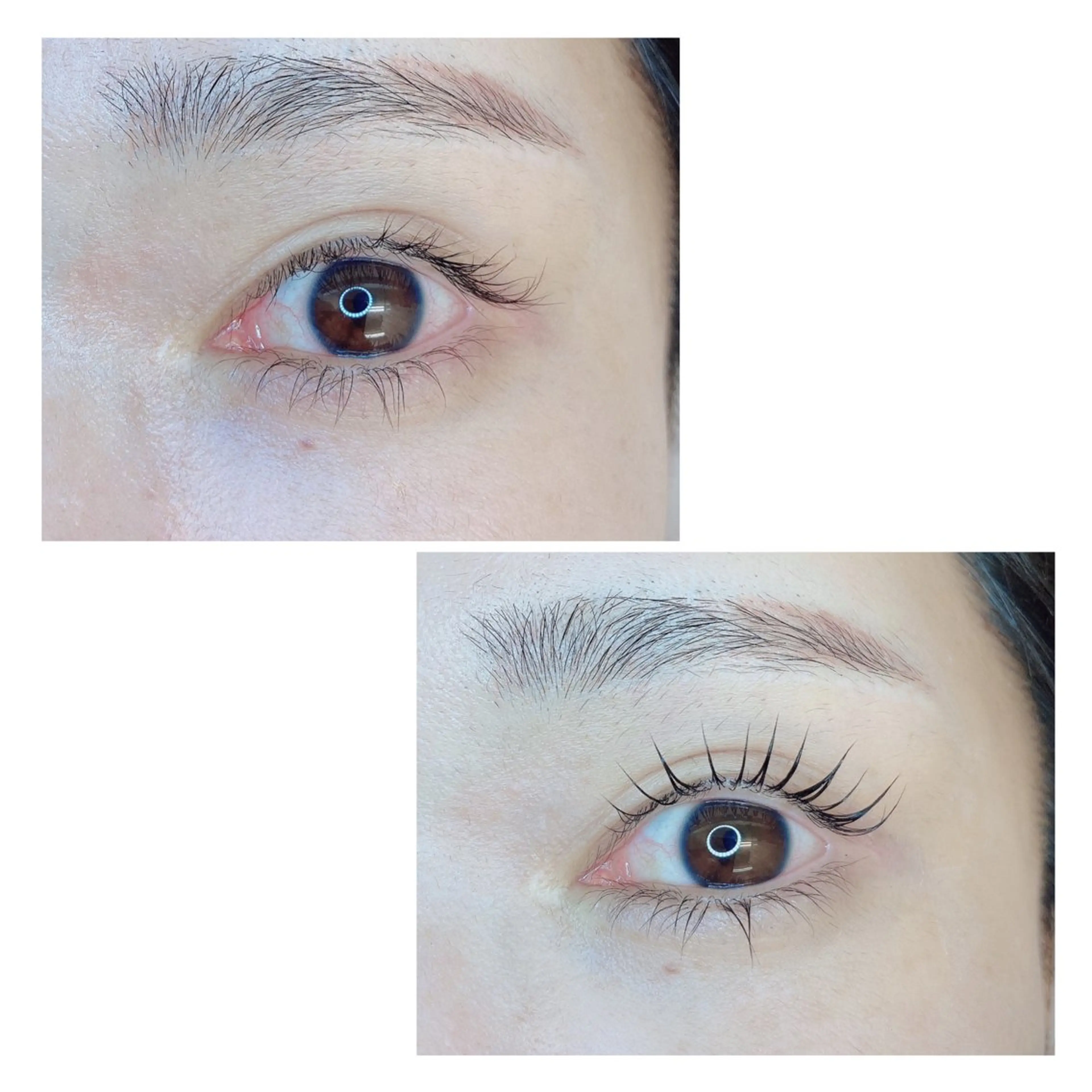 マツエク・マツパ TIARA池袋西口店 店長YASUKA💐のマツエク・マツパデザイン