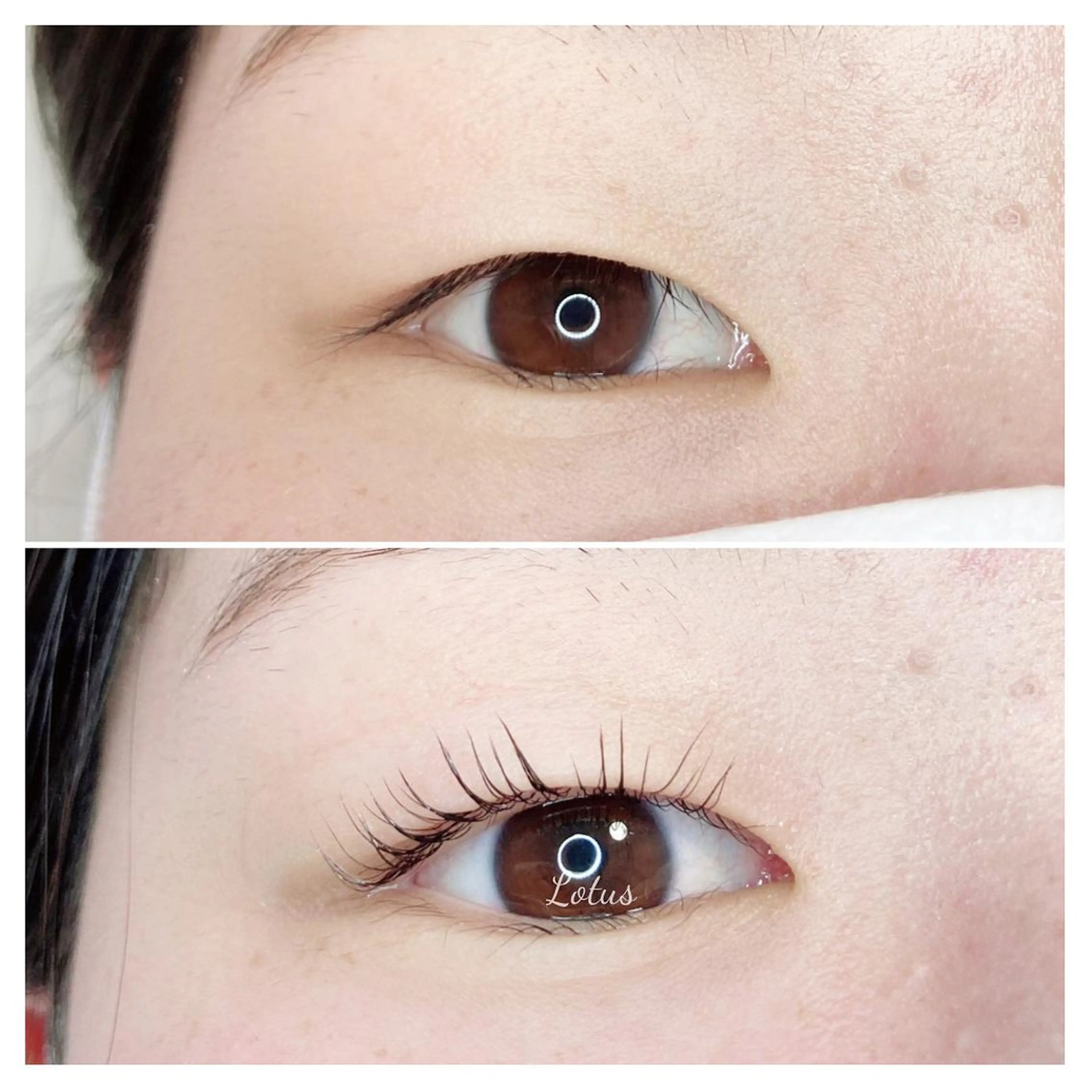 マツエク・マツパ 一重×まつ毛パーマ Lotus所属・Lotus ロータスのマツエク・マツパデザイン