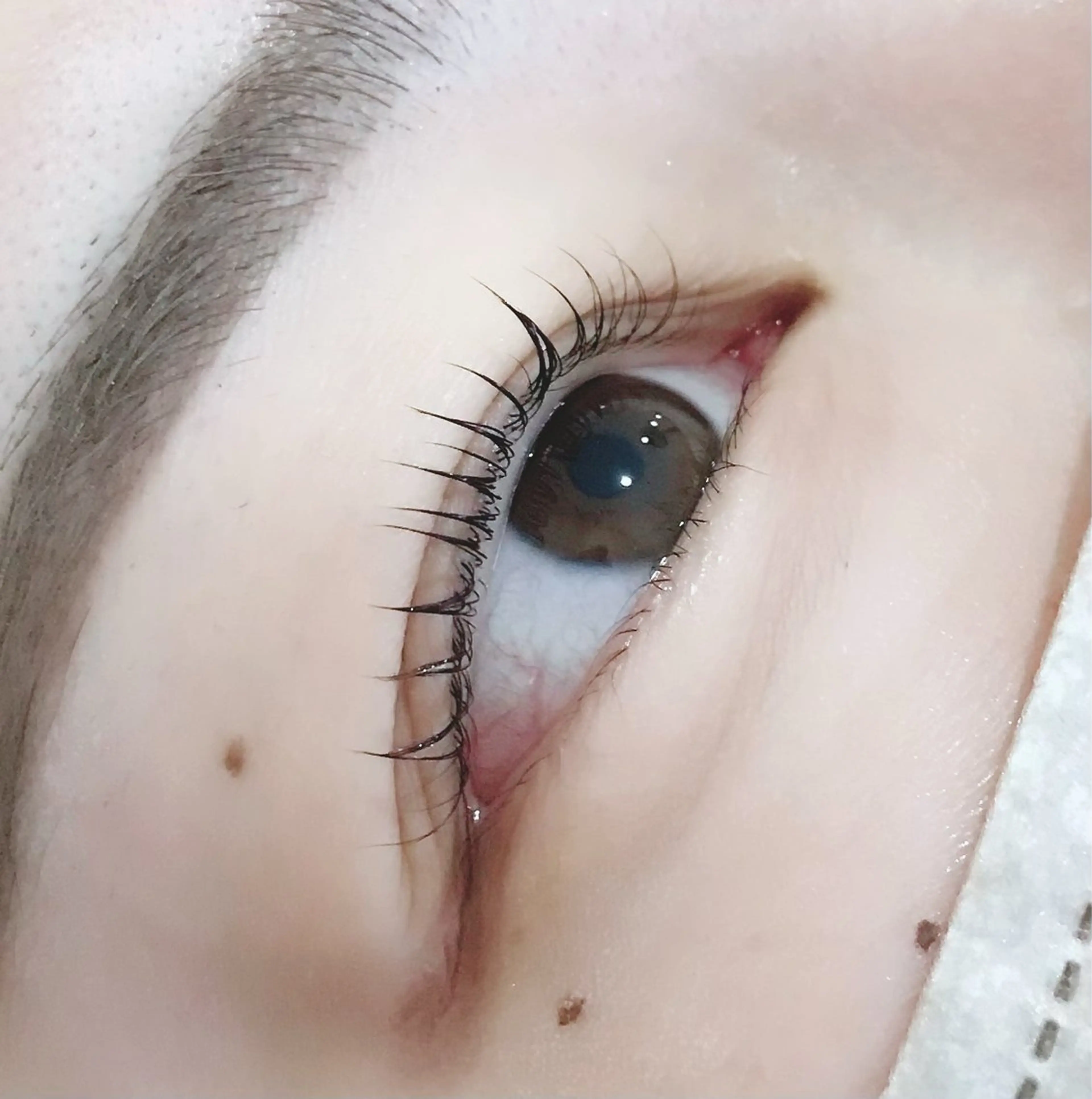 マツエク・マツパ マツパ Lotus YUIのマツエク・マツパデザイン