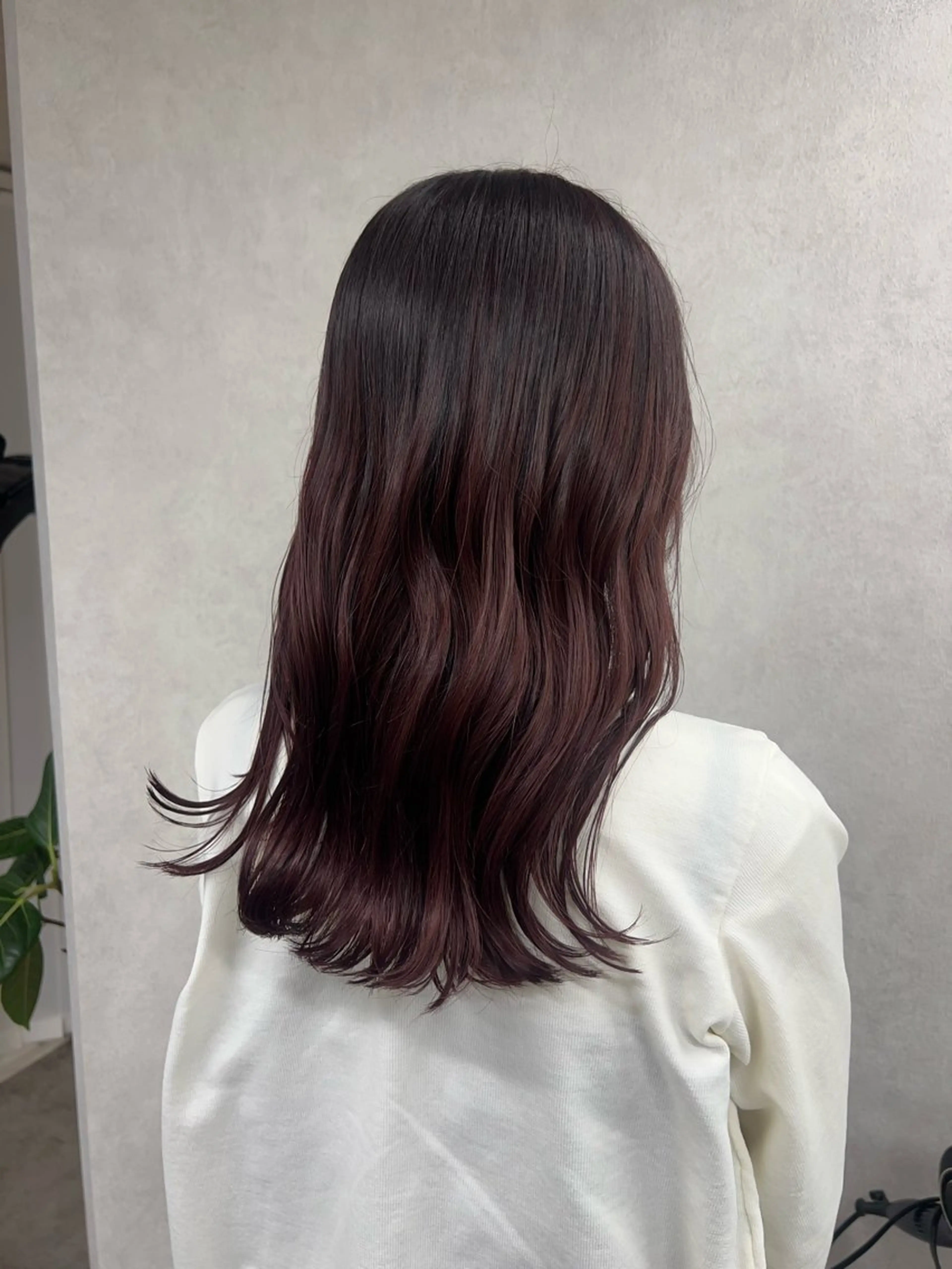 セミロング カラー ブリーチ ブラウンカラー カシス ブリーチなしカラー ヘアカラー 暖色カラー/ブリーチ /名古屋/かのんのヘアスタイル