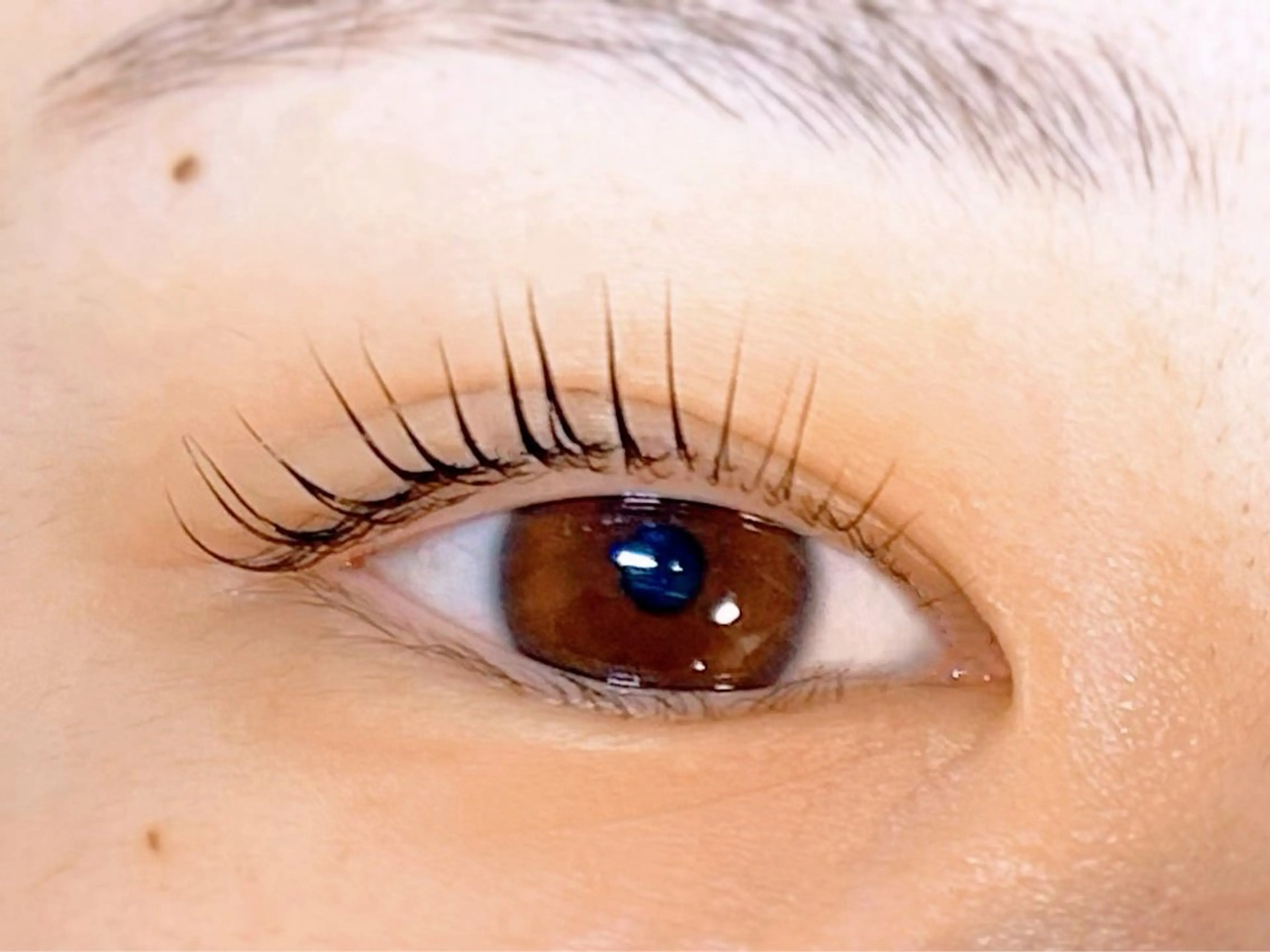 マツエク・マツパ Melia Chieのマツエク・マツパデザイン