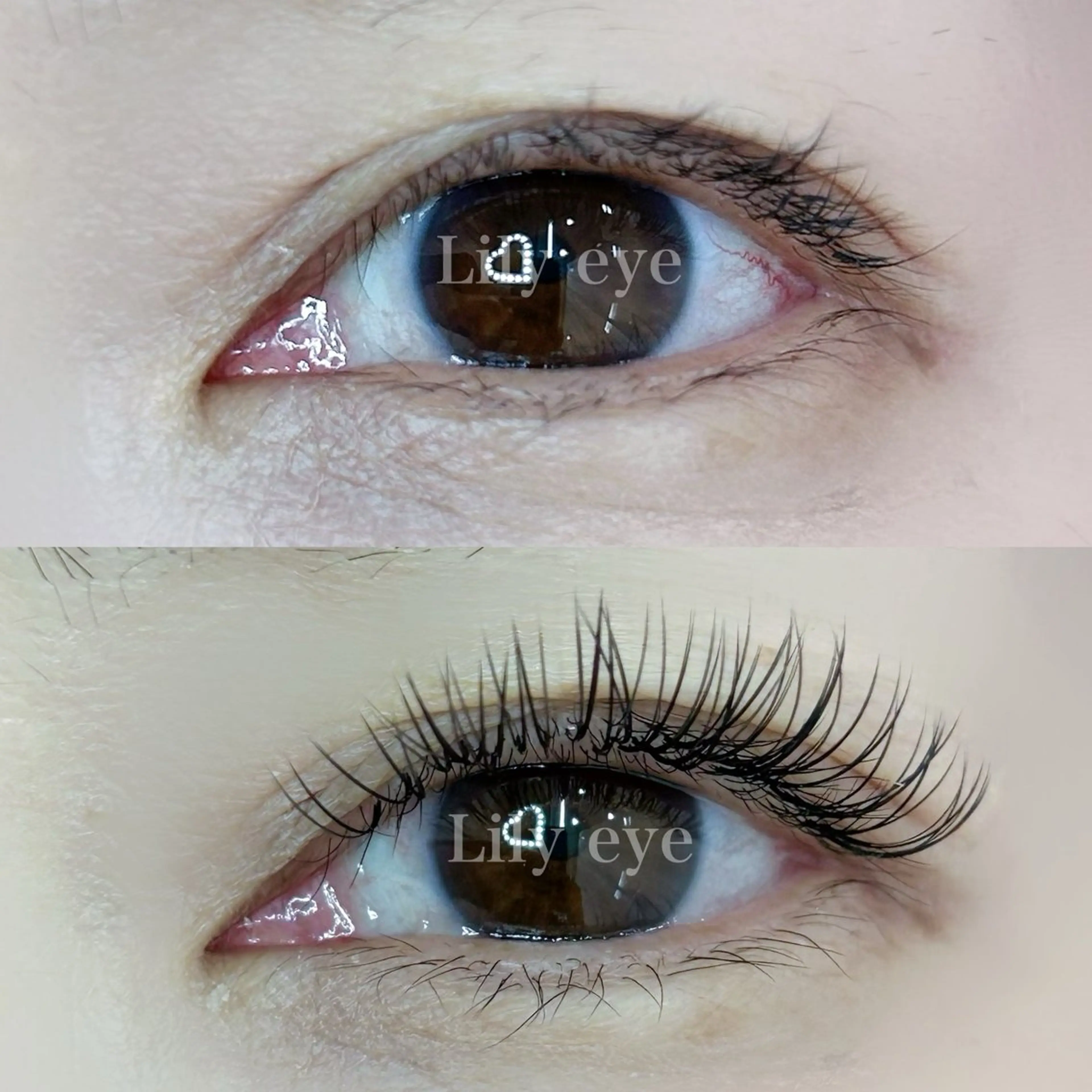 マツエク・マツパ まつ毛専門店 Lily eyeのマツエク・マツパデザイン