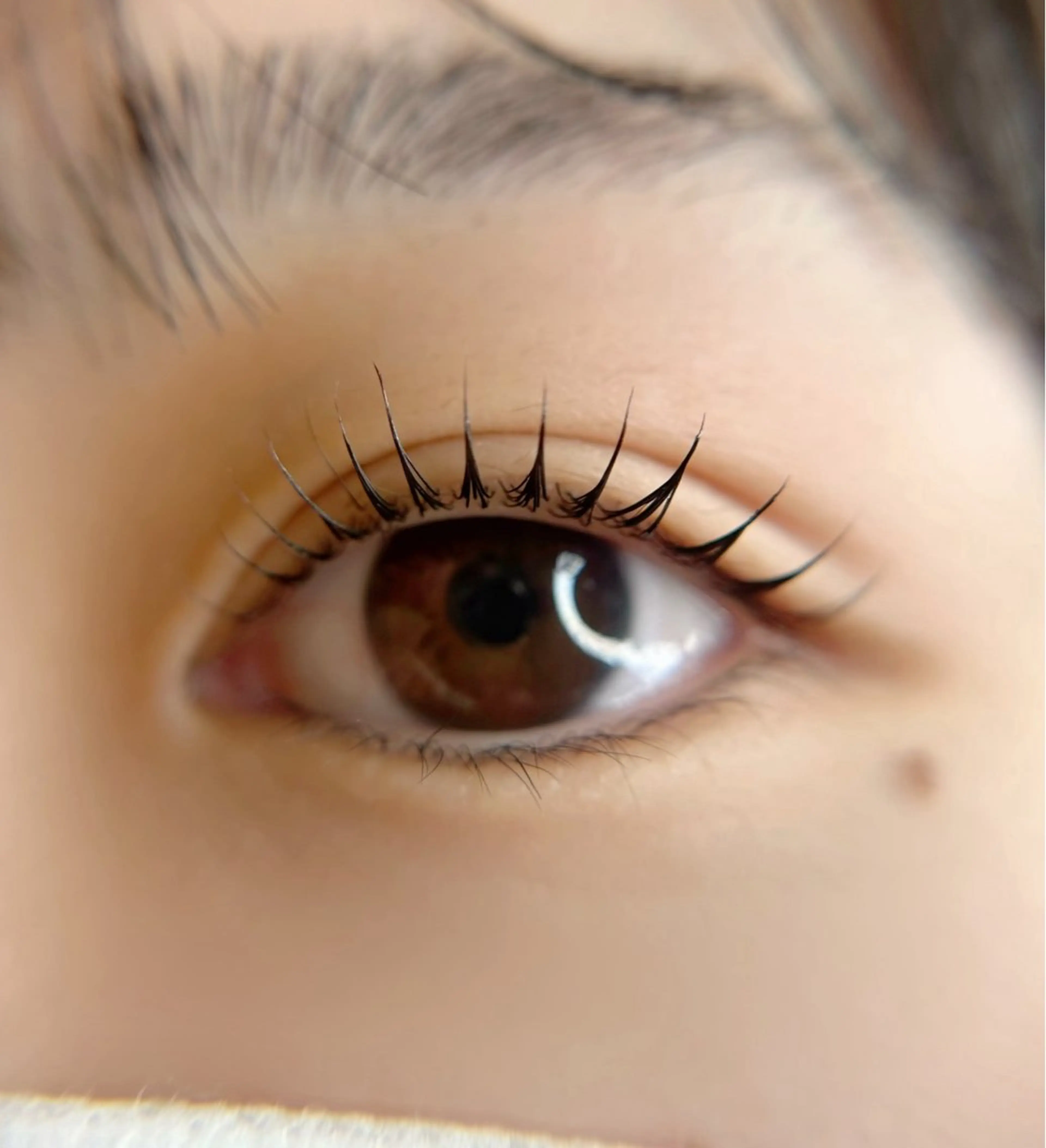 マツエク・マツパ ケラチンラッシュリフト マツパ Citrine eyelash ✿のマツエク・マツパデザイン