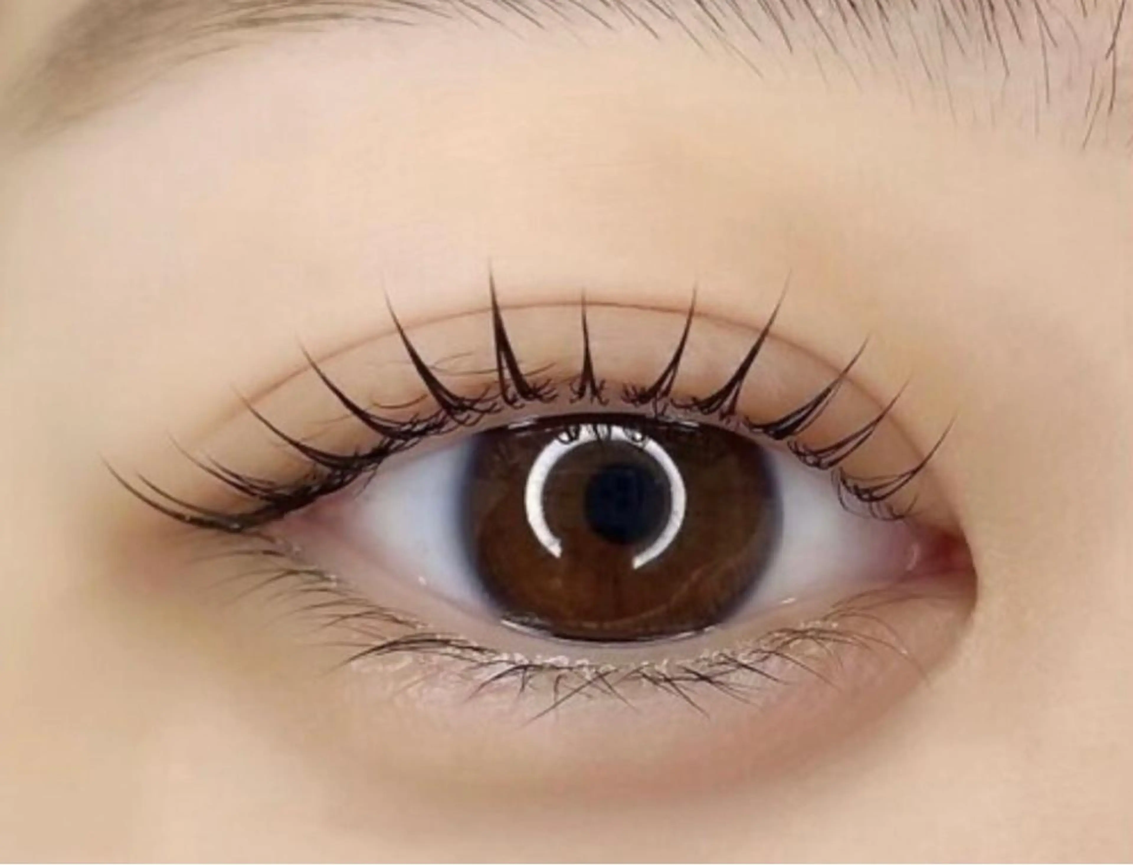 マツエク・マツパ パリジェンヌラッシュリフト Le'afirst 大阪梅田所属・Le'a first ‎🤍店長yuukaのマツエク・マツパデザイン