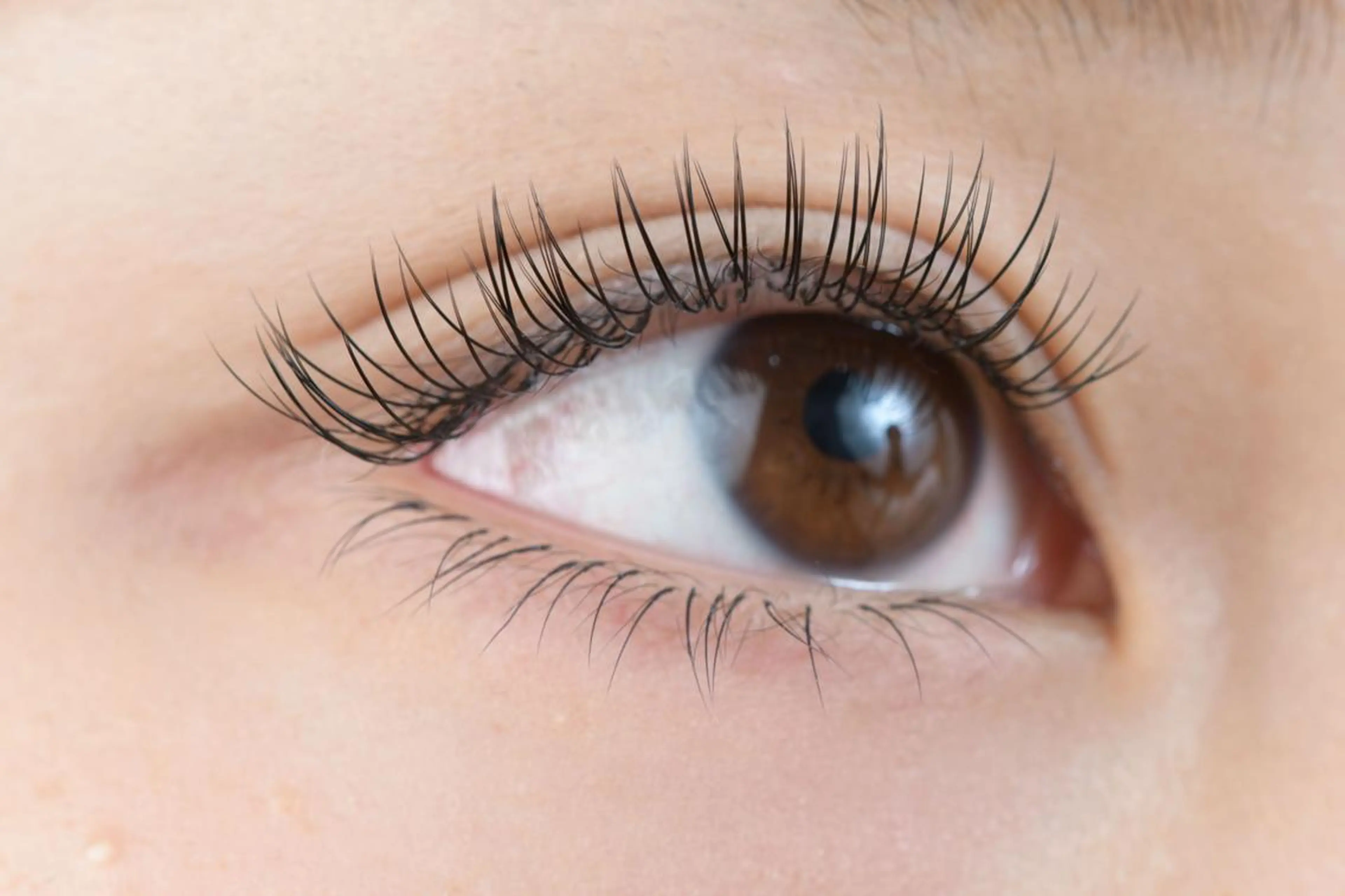 🌼UPWard lash 130本 《オフ別プラス"500円"》の写真