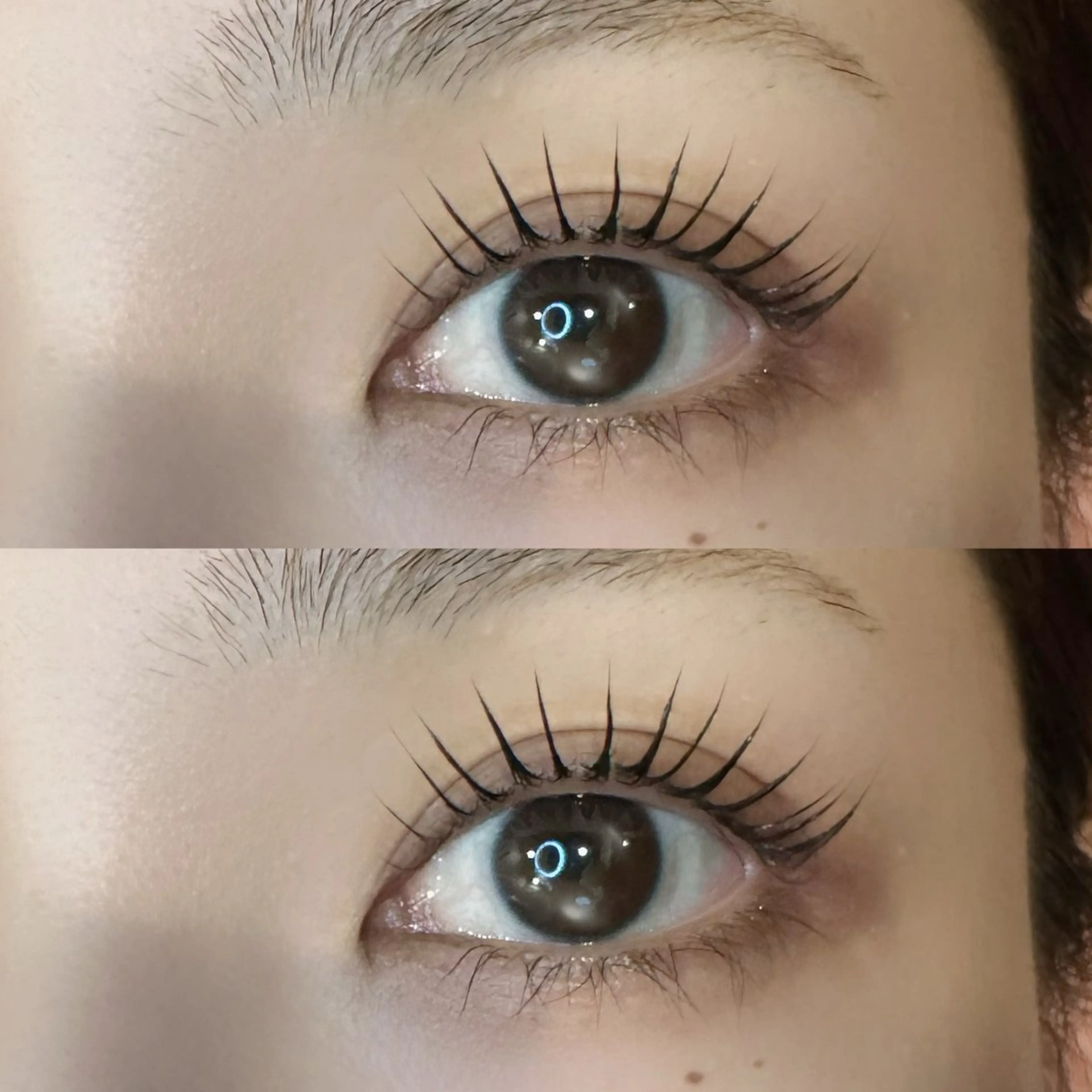 マスカラパーマ＋コーティング仕上げ¥7700→¥5500の写真