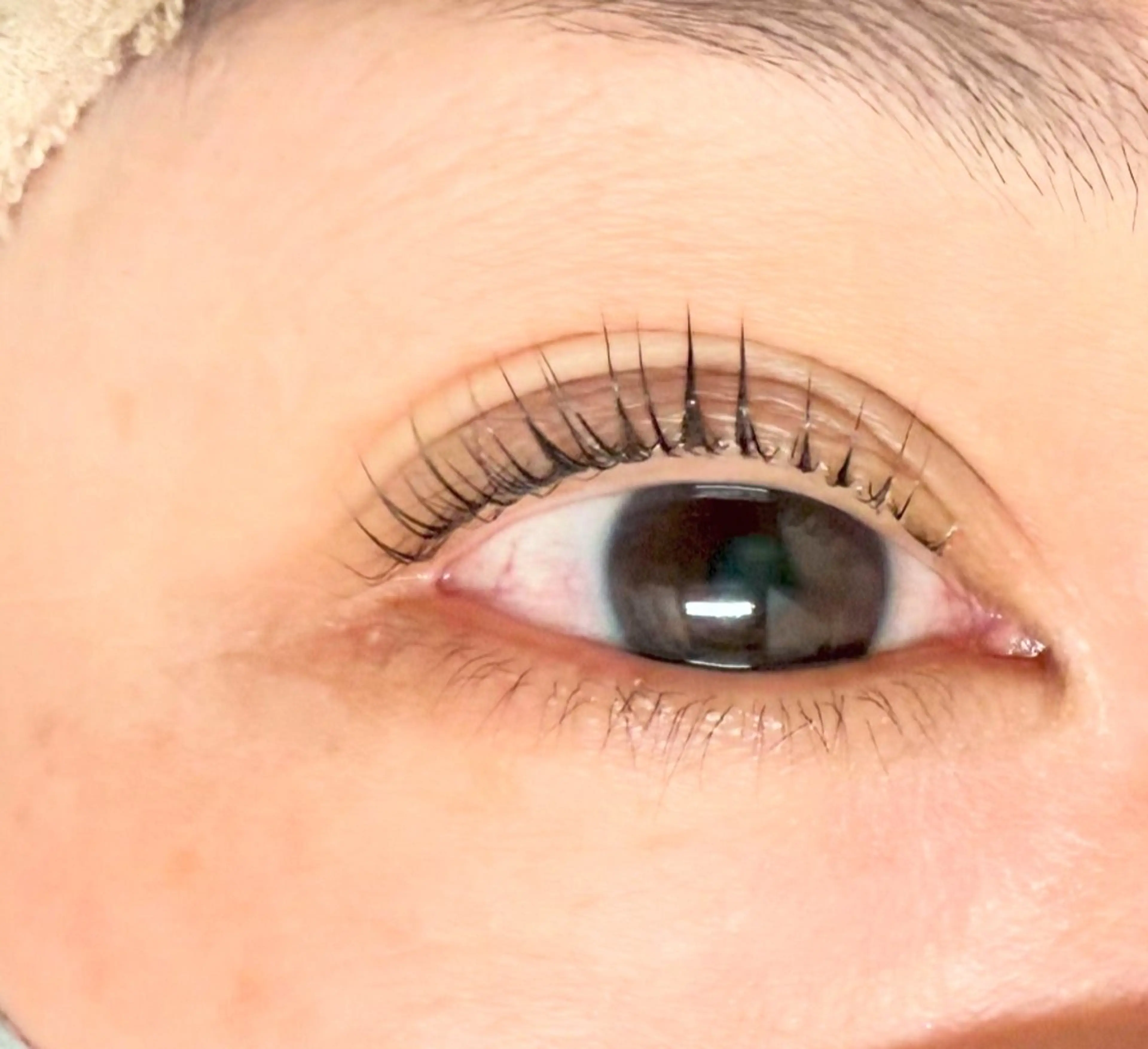 マツエク・マツパ MAQUIA三島店 関野の眉毛・アイブロウイメージ