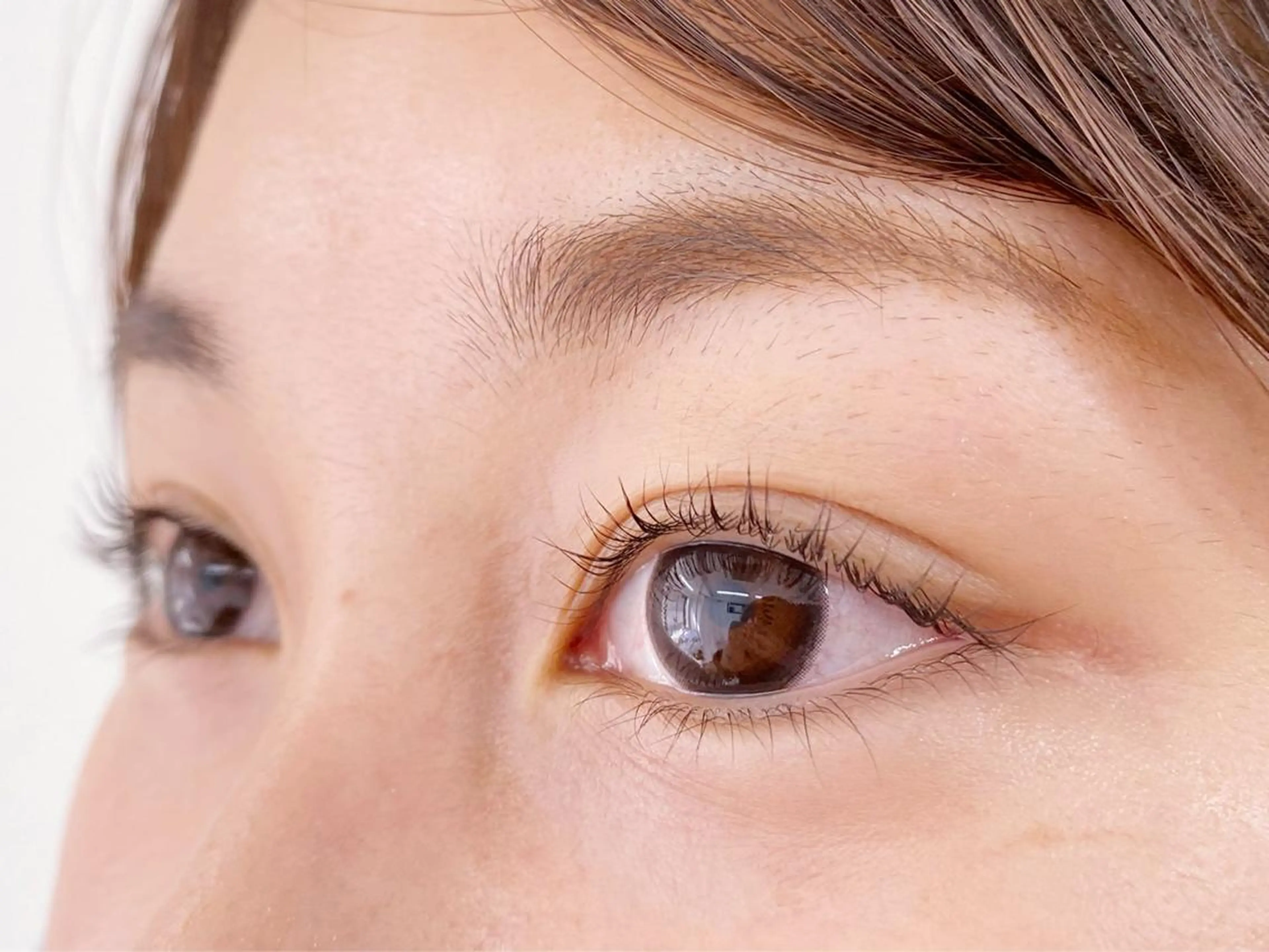 まつげパーマorラッシュリフト🧸の写真