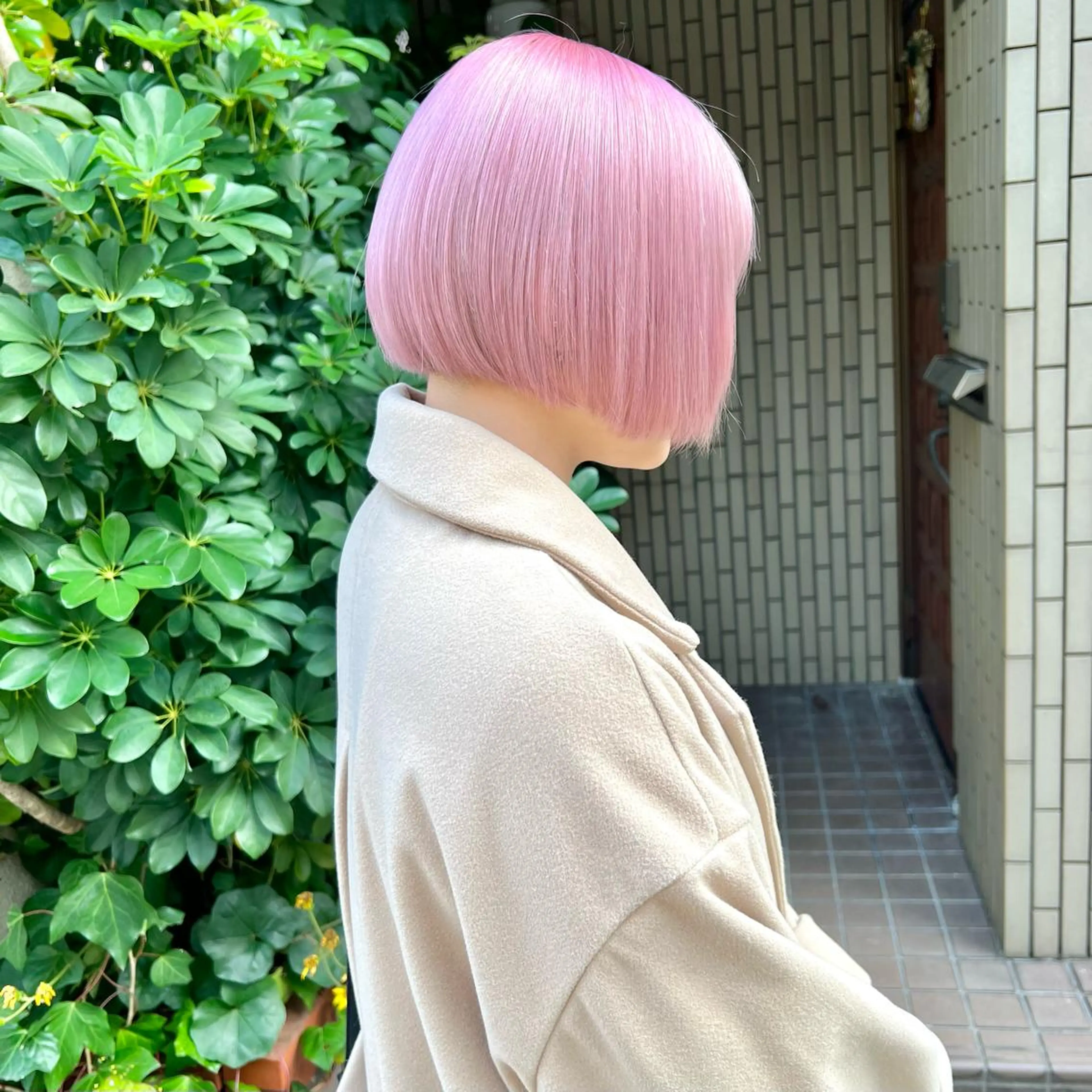 ショート カラー ブリーチ 透明感カラー ハイトーンカラー ChuDuck所属・🐮ChuDuck 代表　SHOTA🐮のヘアスタイル