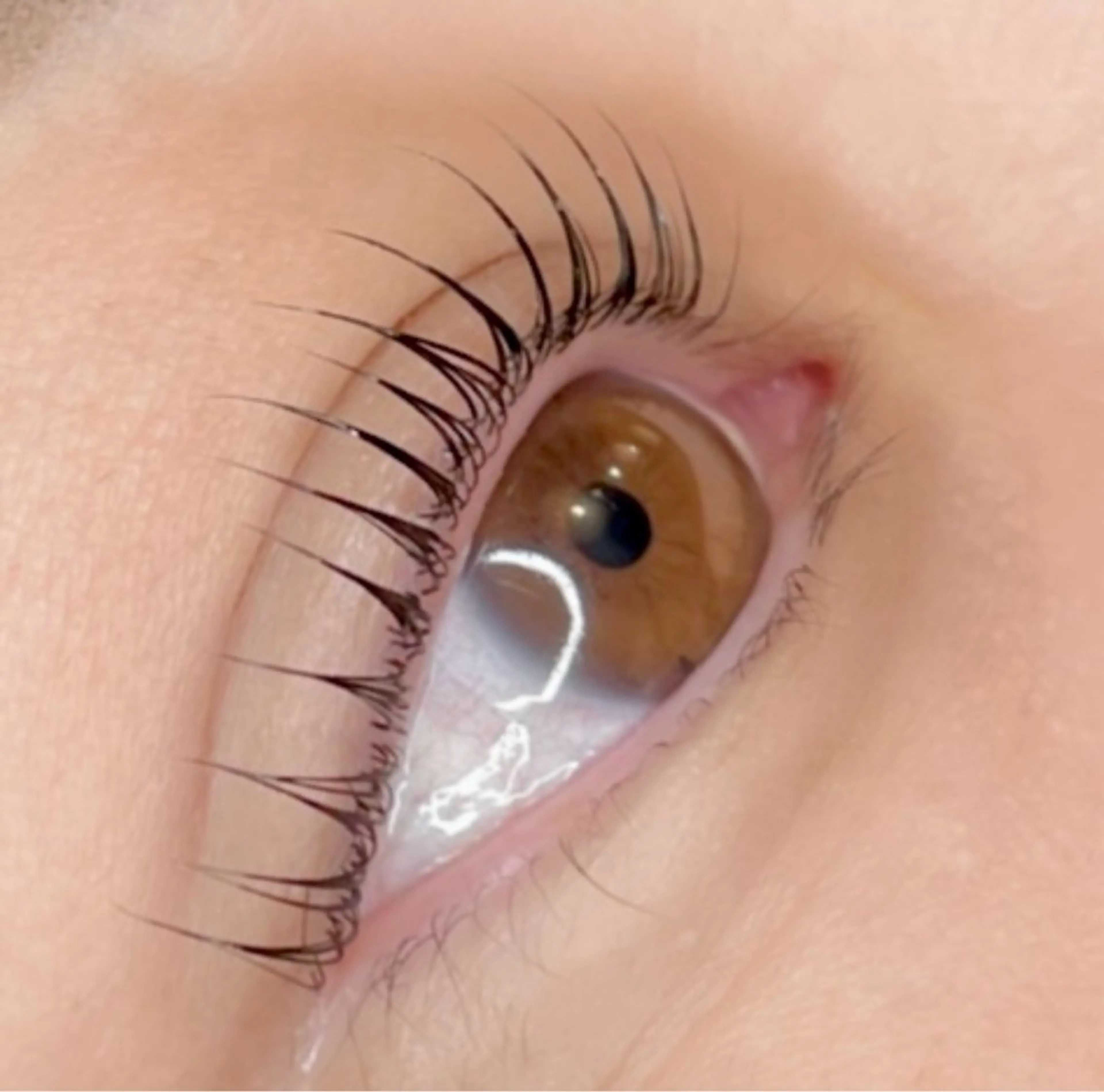 🏄‍♀️最初に目元の写真を送ってください🏄‍♂️ラッシュリフト🏄事前審査あり【審査内容、条件確認必須】の写真