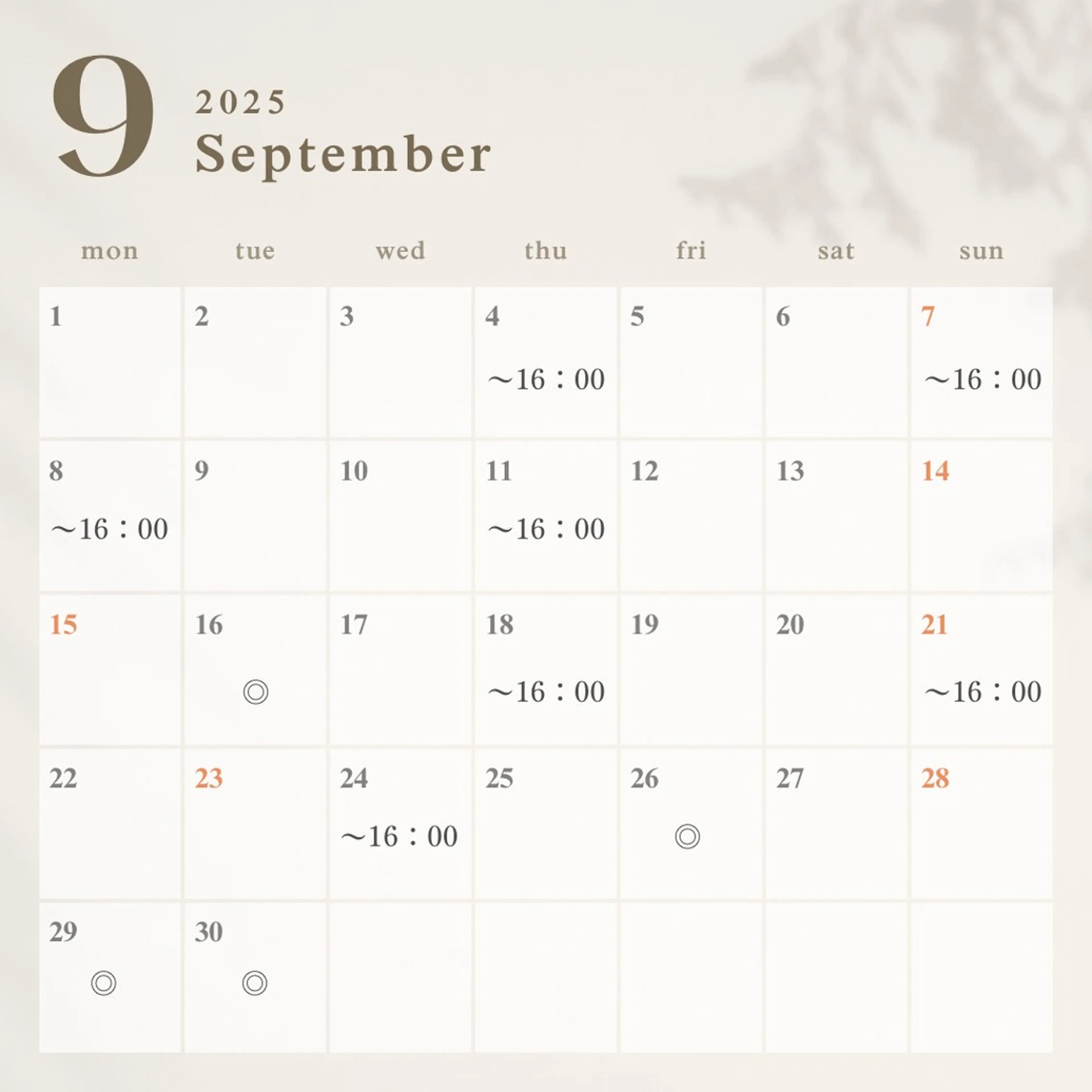 パーソナルカラー診断 骨格診断 顔タイプ診断 SAVOIR所属・SAVOIR 実果子のその他イメージ