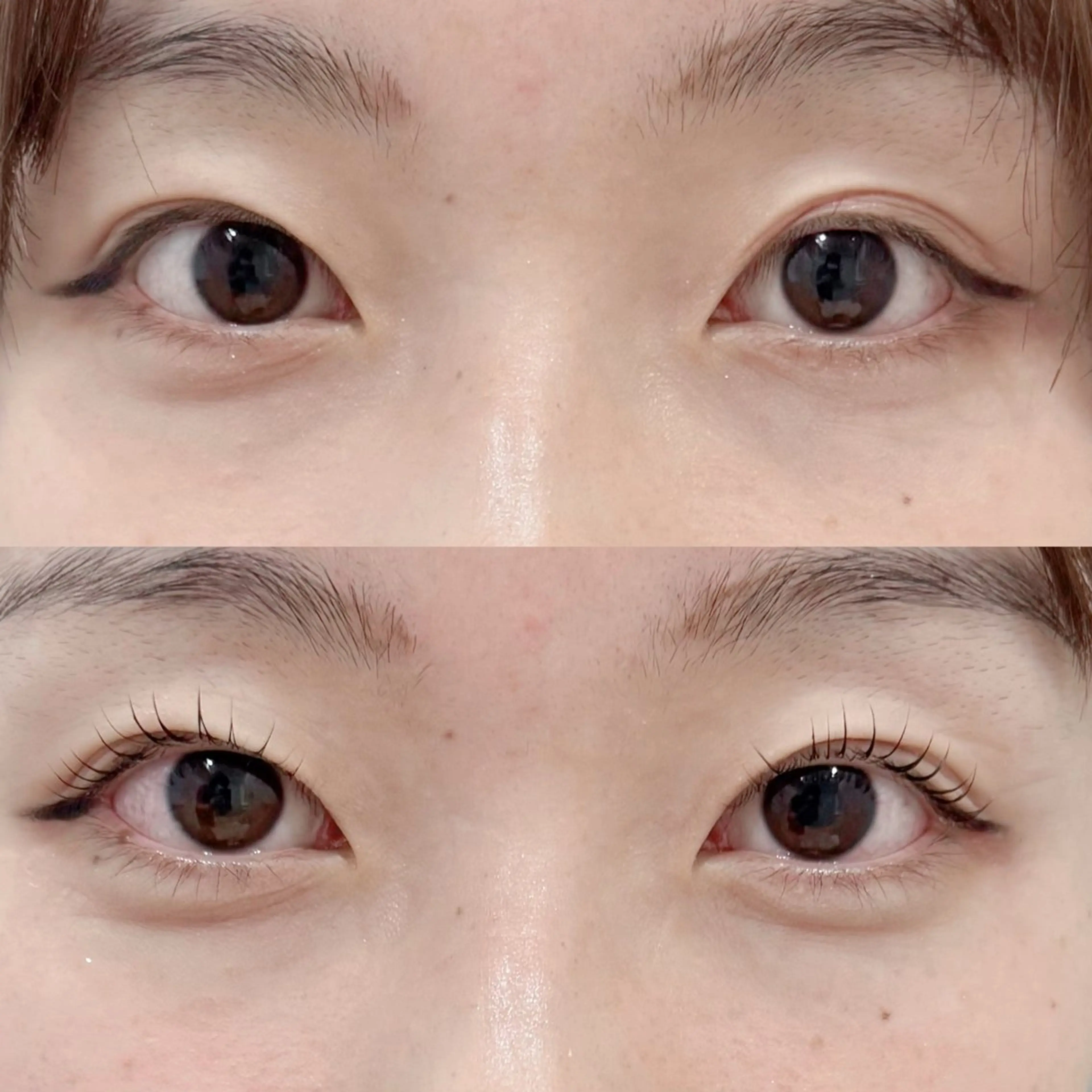 マツエク・マツパ マツパ LICO🤍 Chihoのマツエク・マツパデザイン